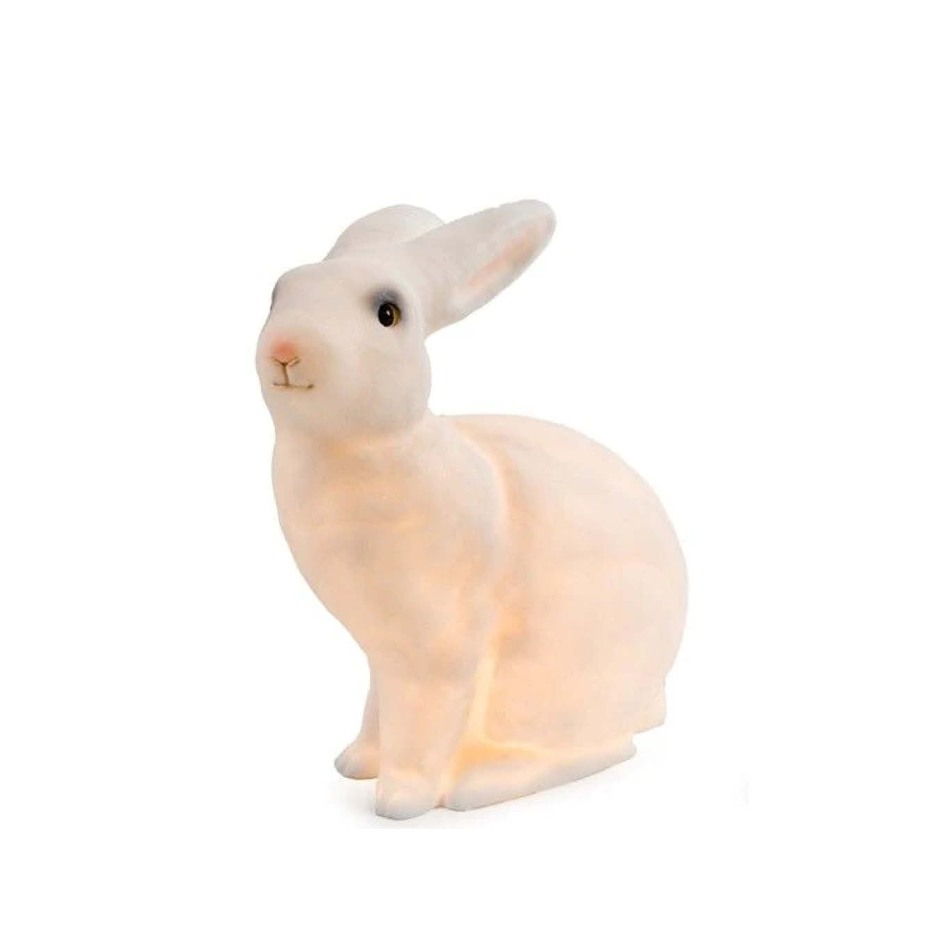 Hasen Lampe