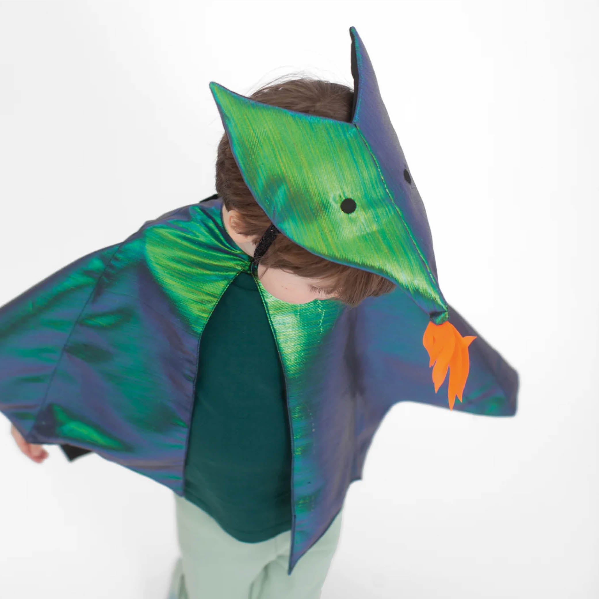 Drachen Kinder Kostüm