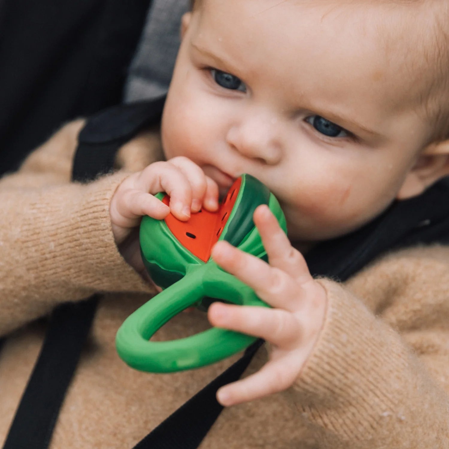 Teether and Rattle Watermelon
