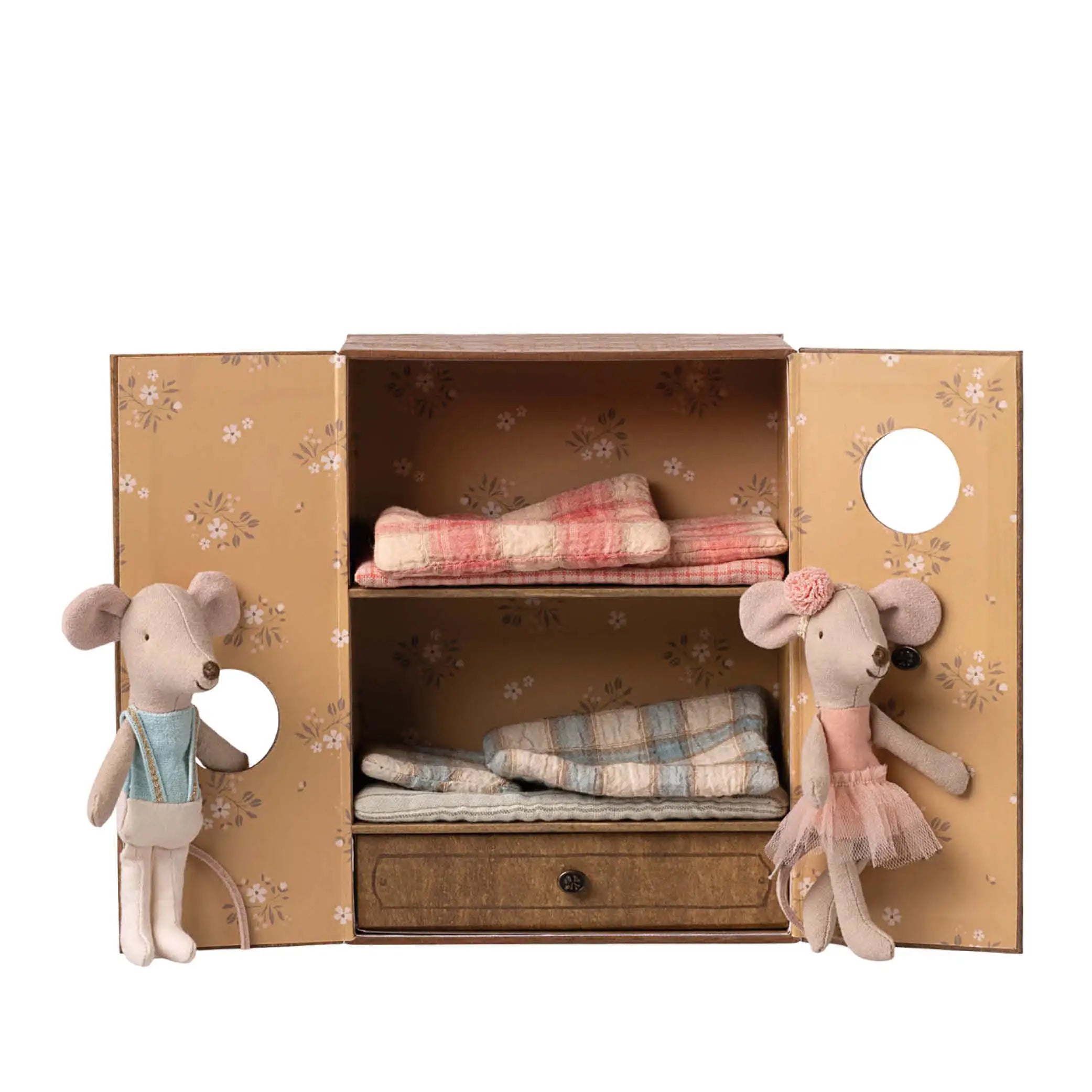 Little Ballet Mice in Dance Studio