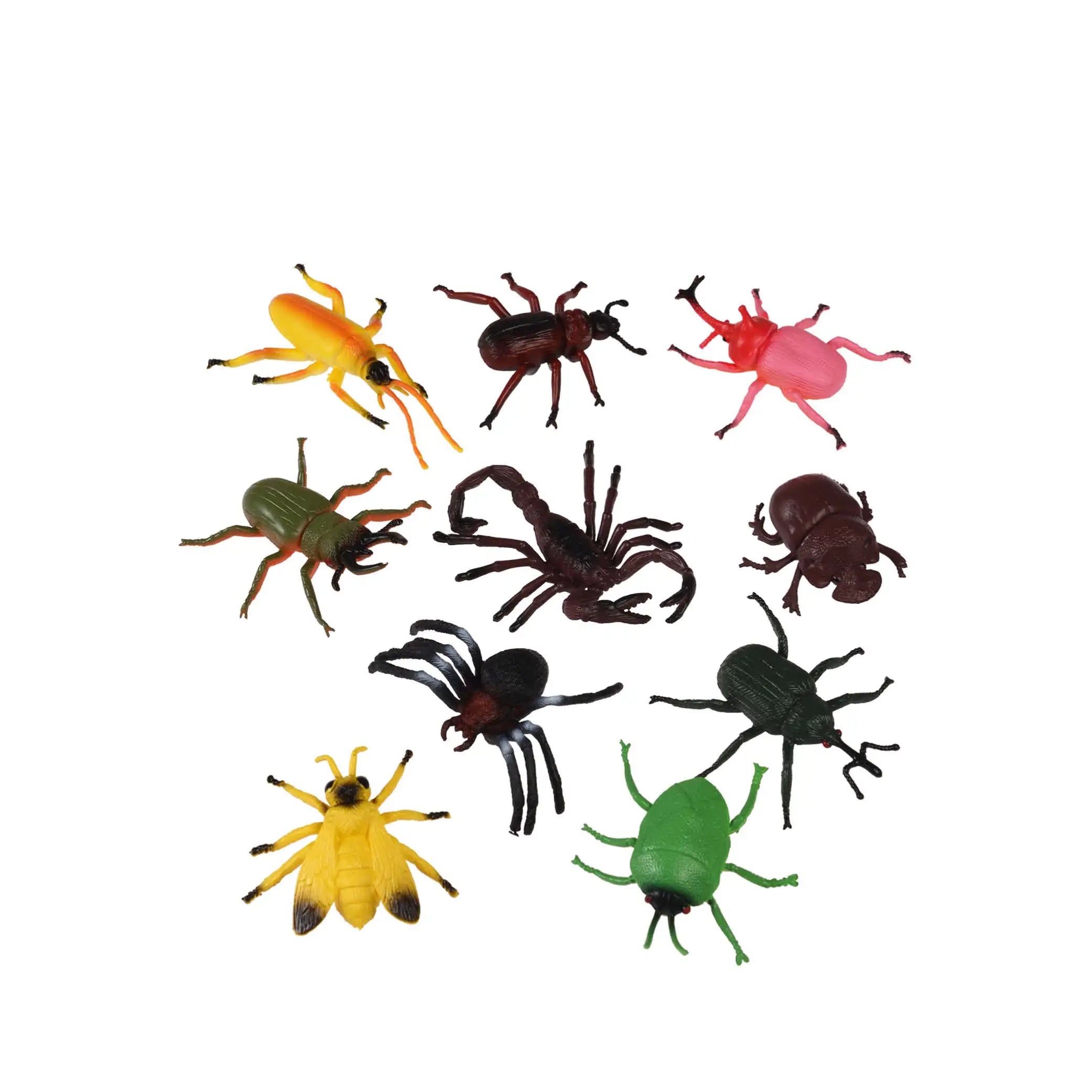 Gemischte Krabbeltiere