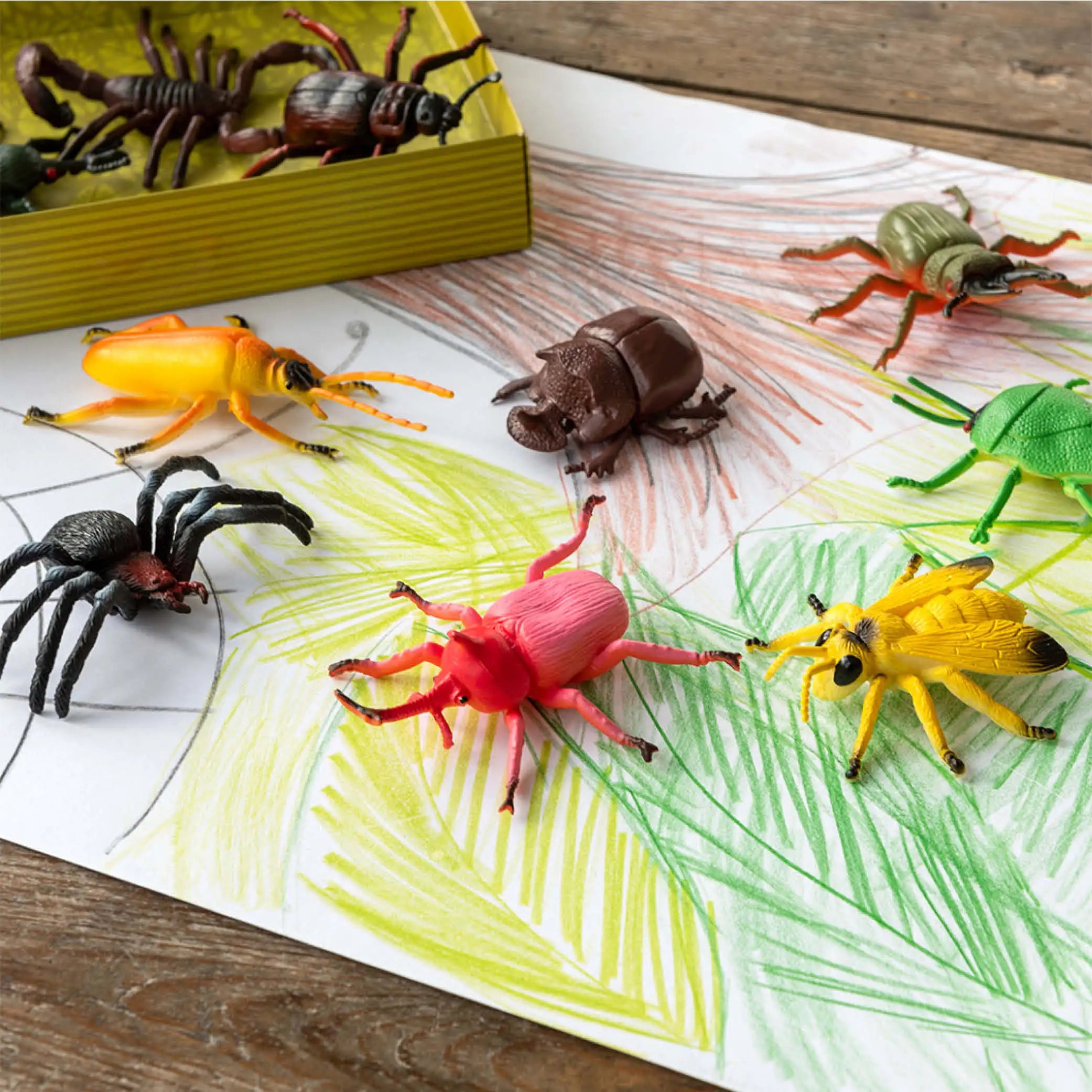 Mixed Creepy Crawlies