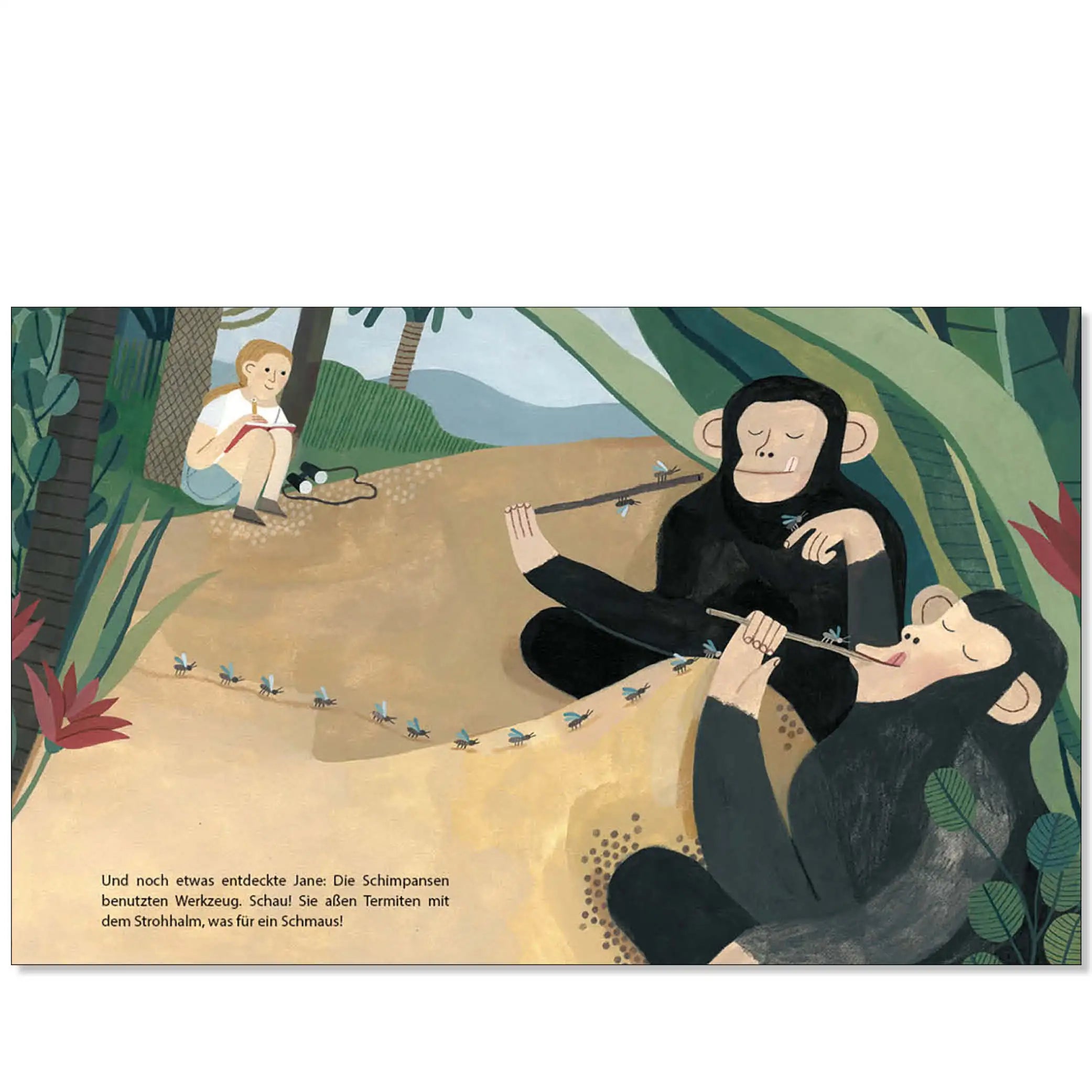 Little People, Big Dreams – Jane Goodall