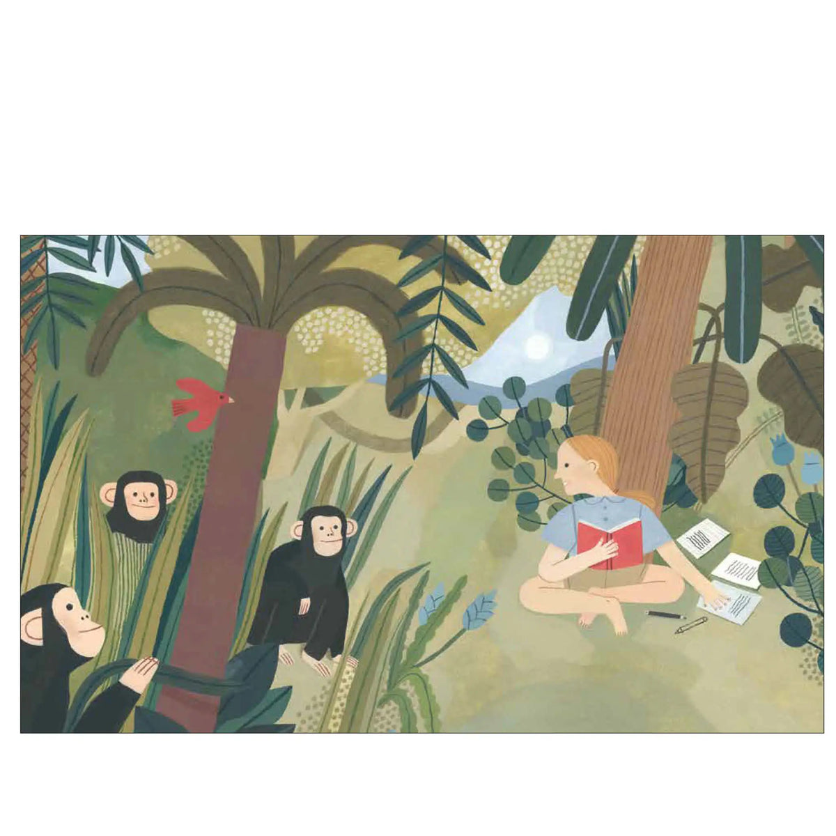 Little People, Big Dreams Mini – Jane Goodall