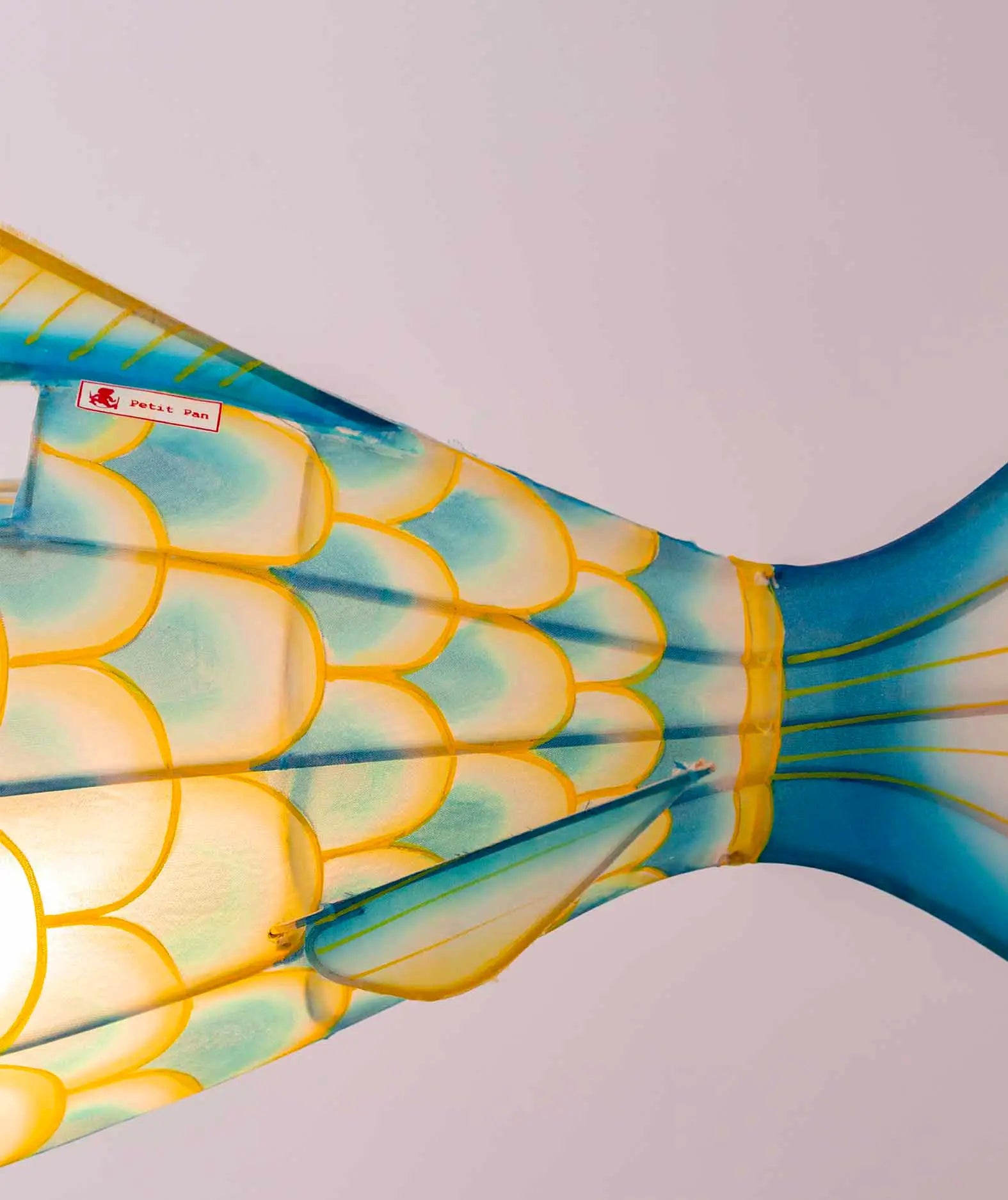 Karpfen Lampe in blau