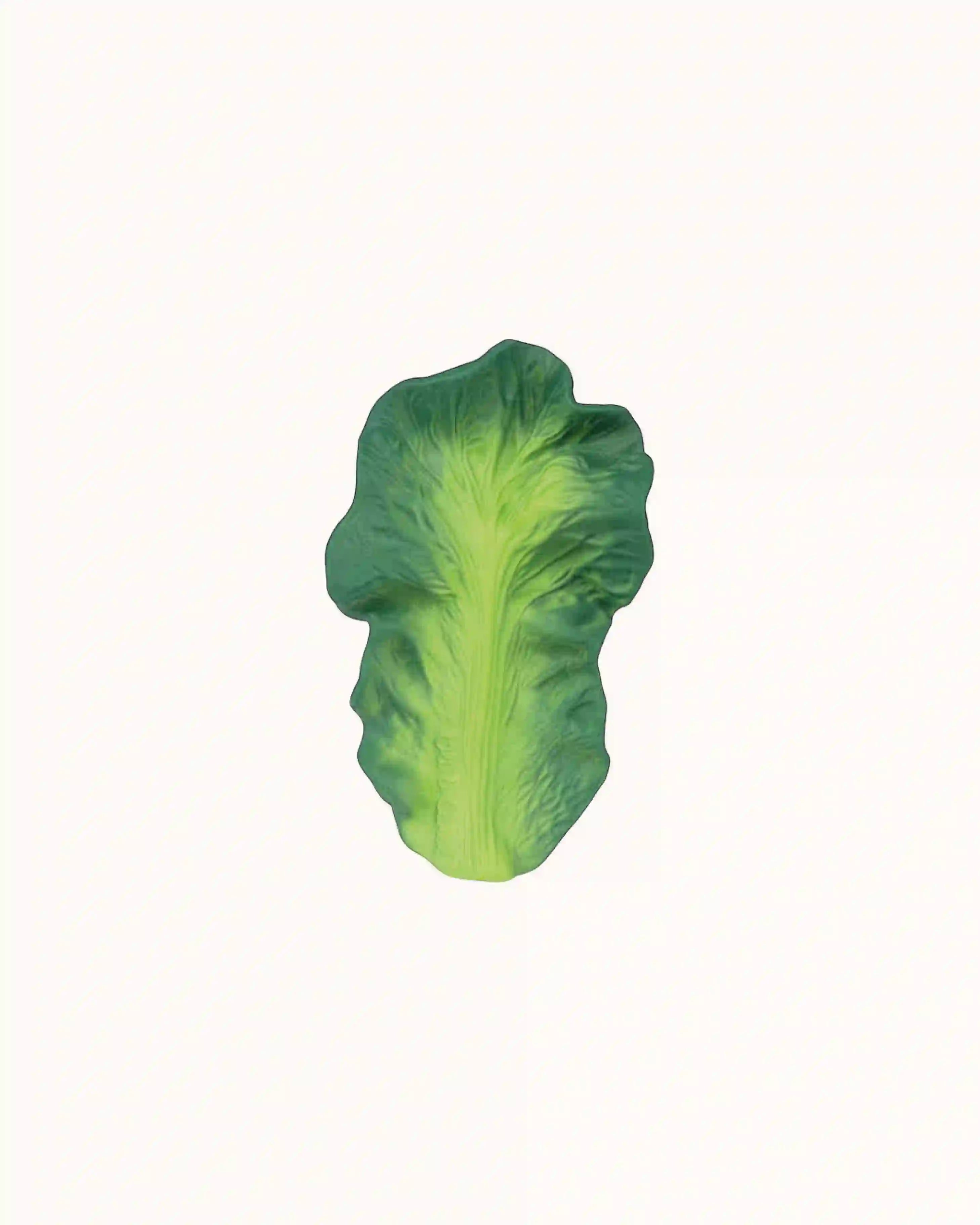 Teether Kendall der Kohl