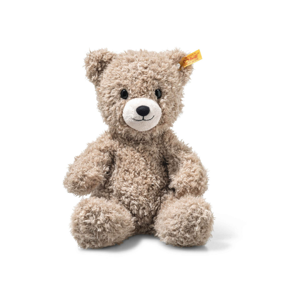 Light at Night Caspar Teddy