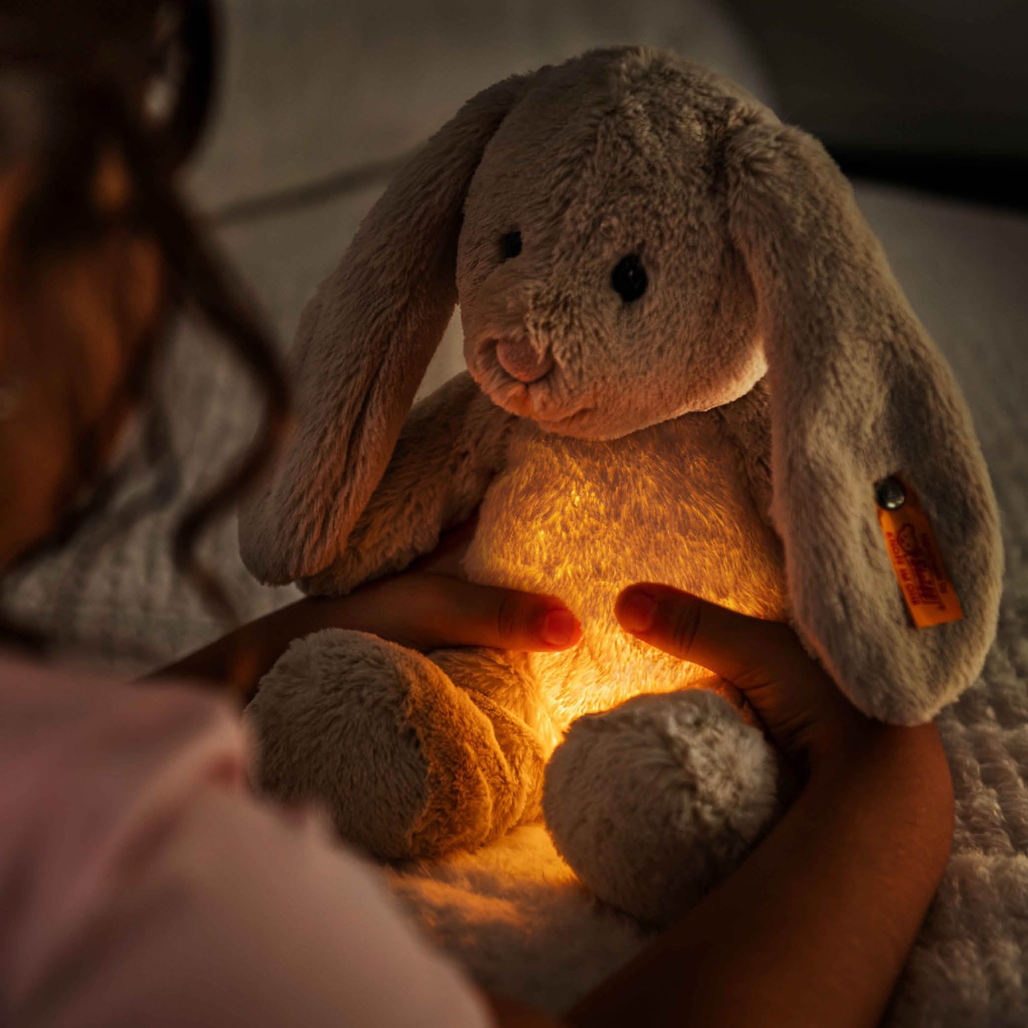 Light at Night Hoppie Hase