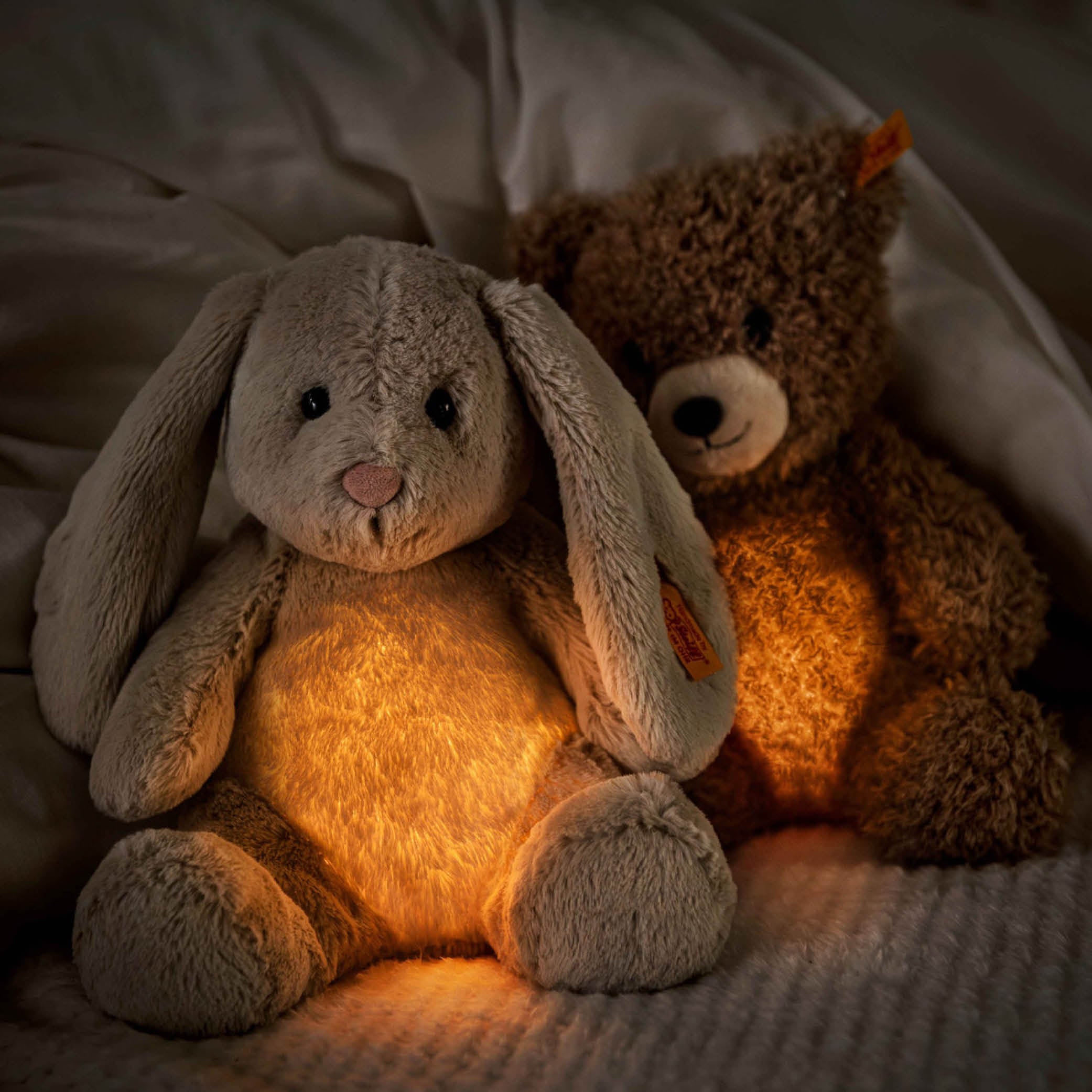 Light at Night Hoppie Hase