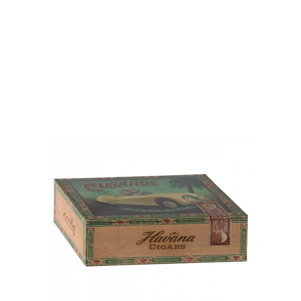 Grandma & Grandpa Mouse in Cigar Box