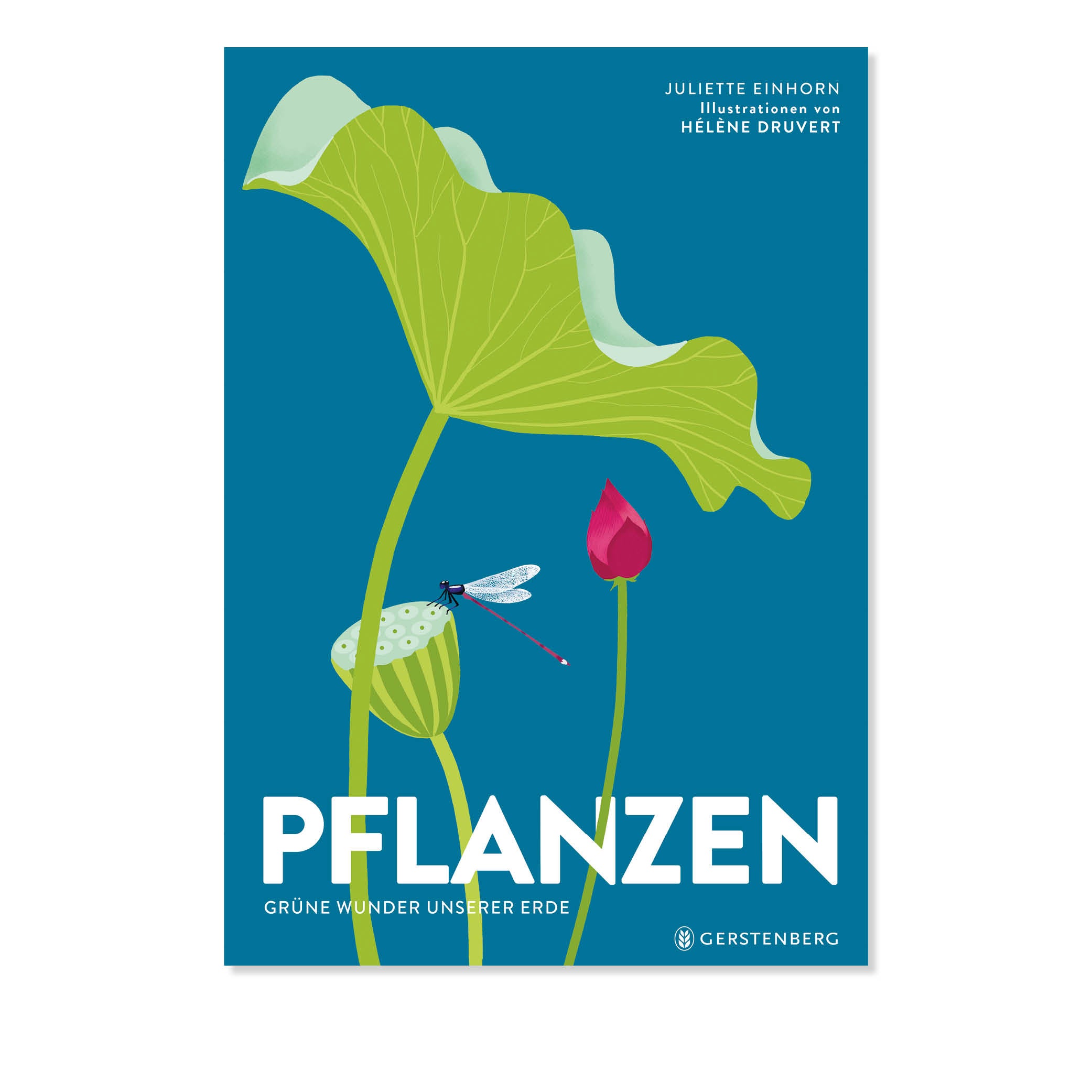 Pflanzen