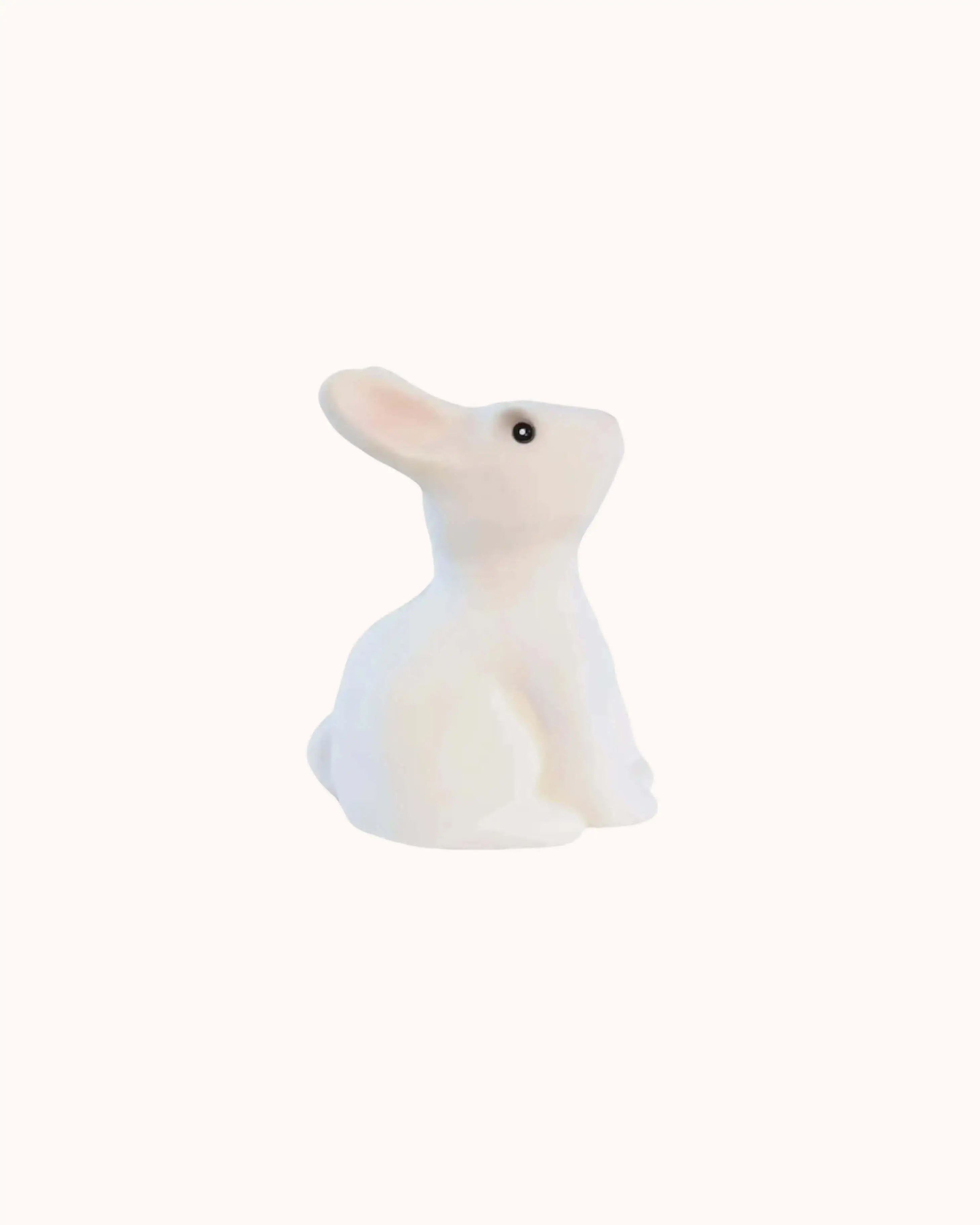 Bunny Savings Bank