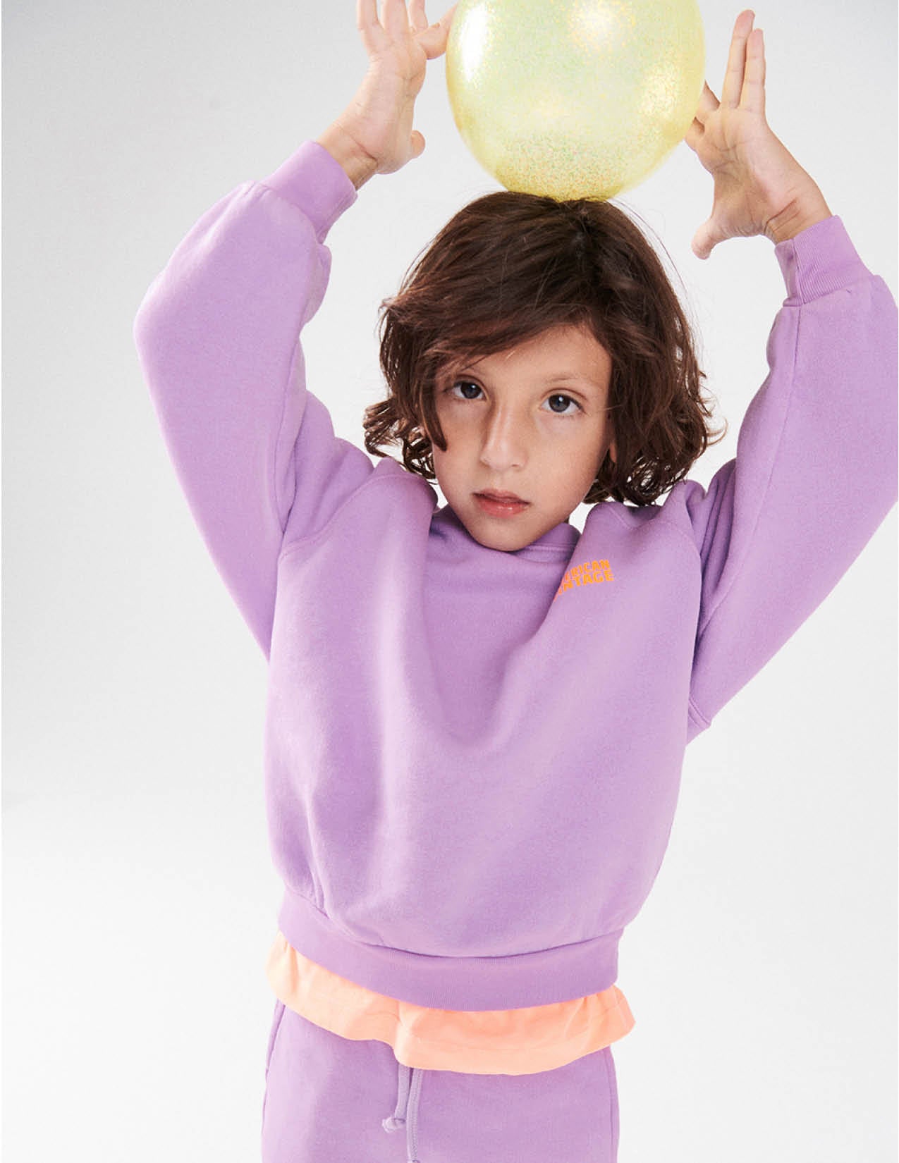 Sweater Izubird in parme vintage