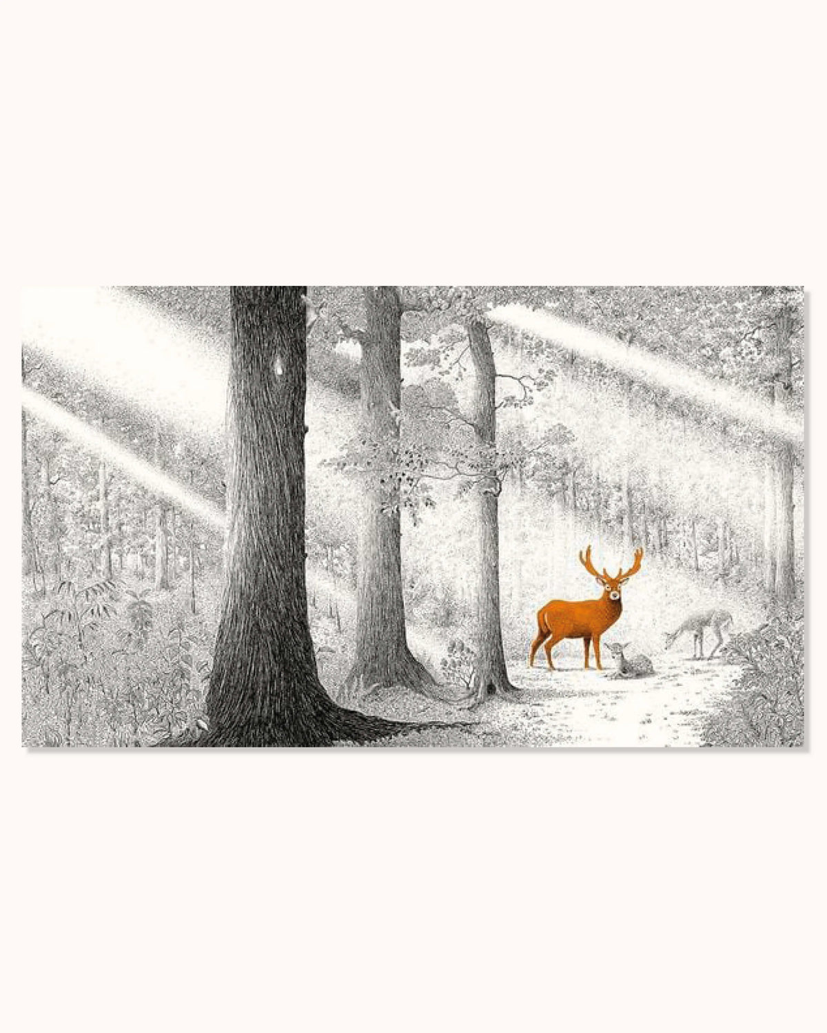 Versteckt im Wald