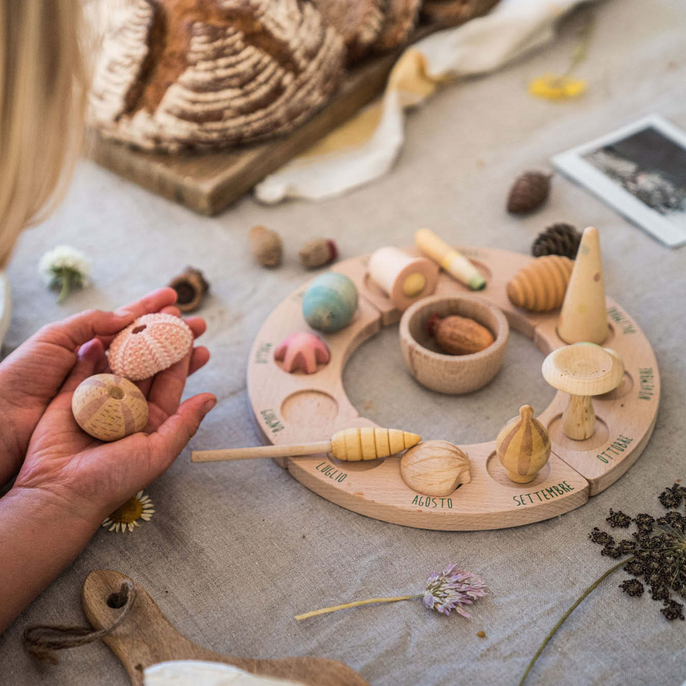 Wonders Natur Set