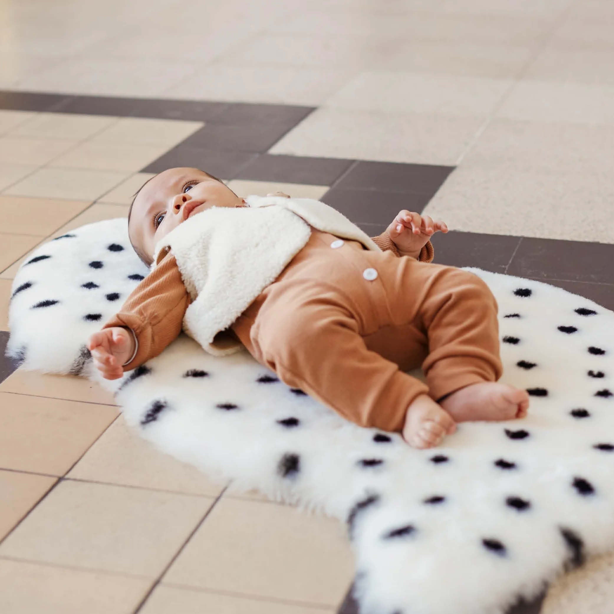 Schaffell in dalmatian