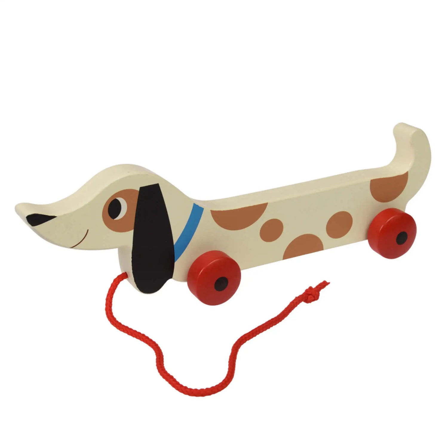 Ziehtier Charlie der Dackel