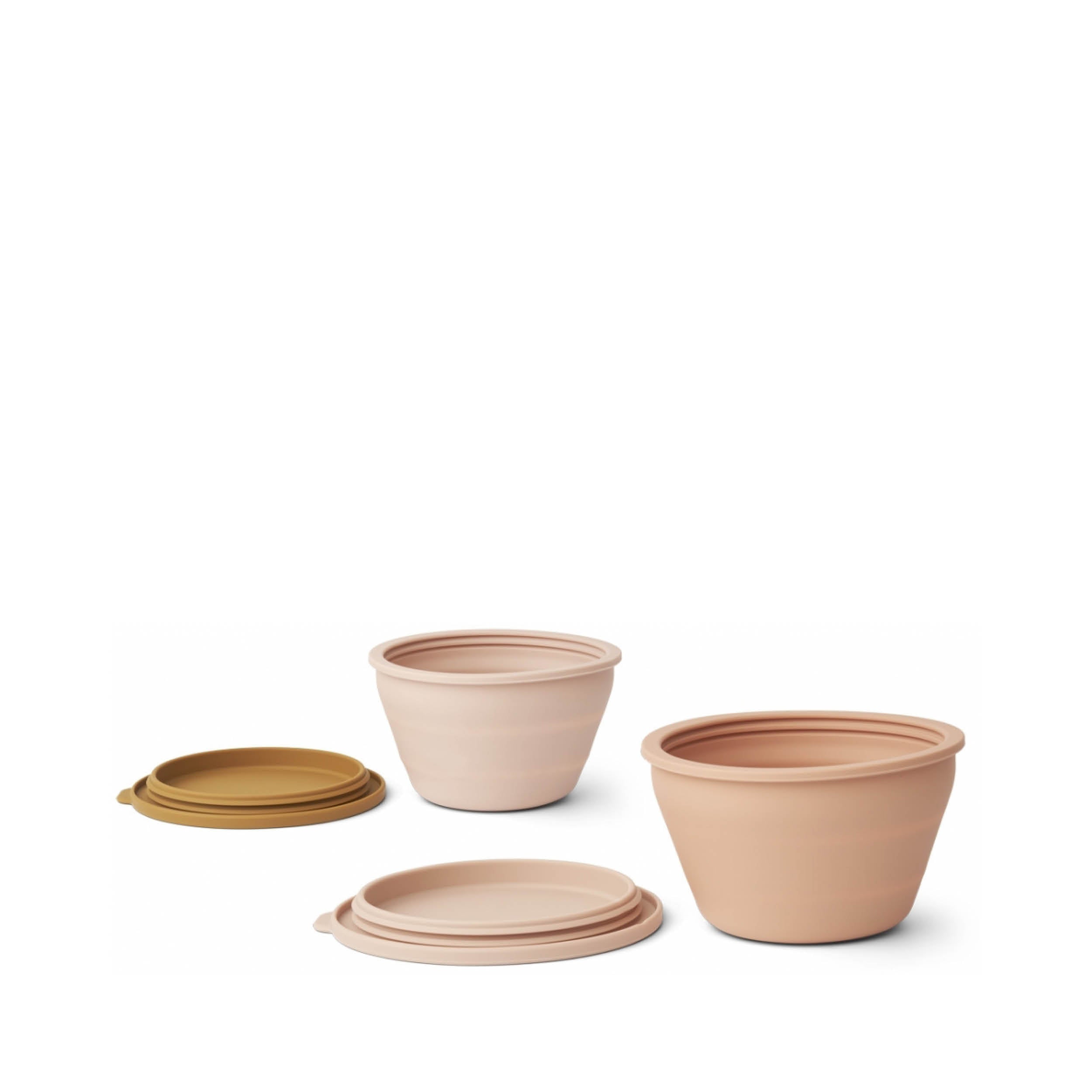 Faltbare Tupperdosen Dale im rose multi mix