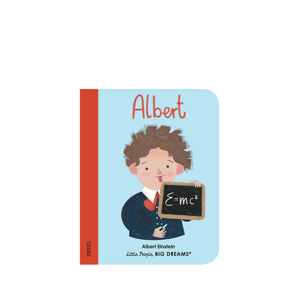 Albert Einstein Mini