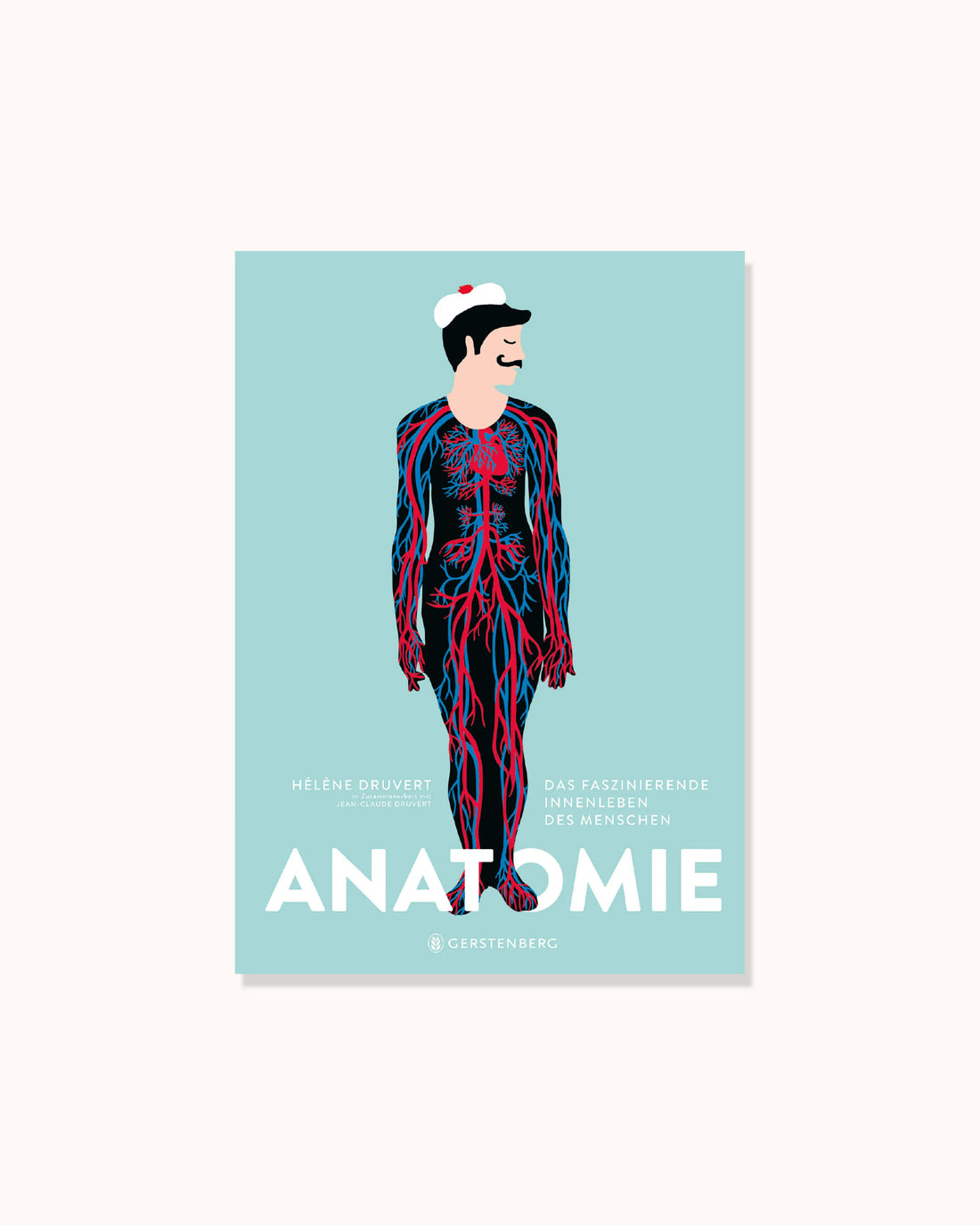 Anatomie