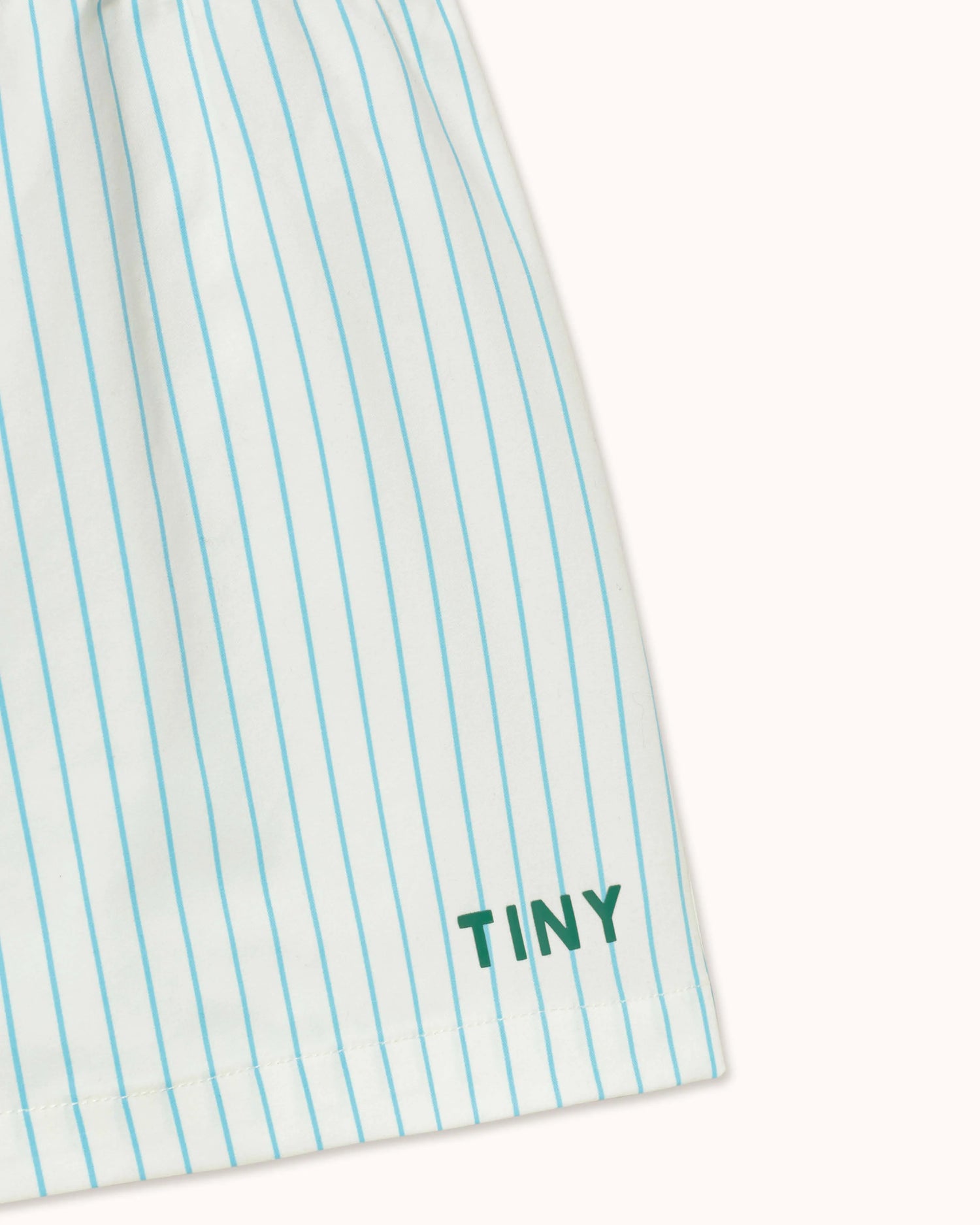 Swim Trunks in cyan striped