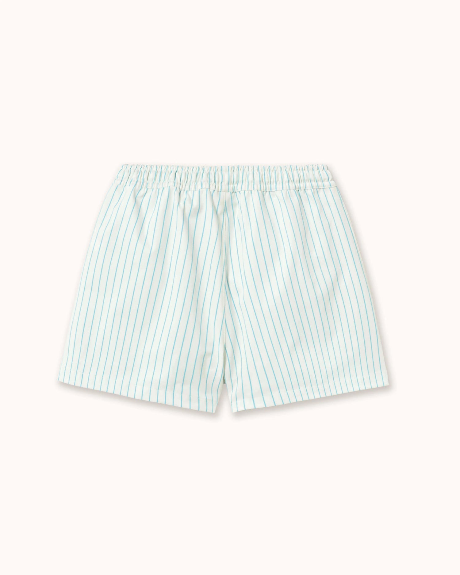 Swim Trunks in cyan striped