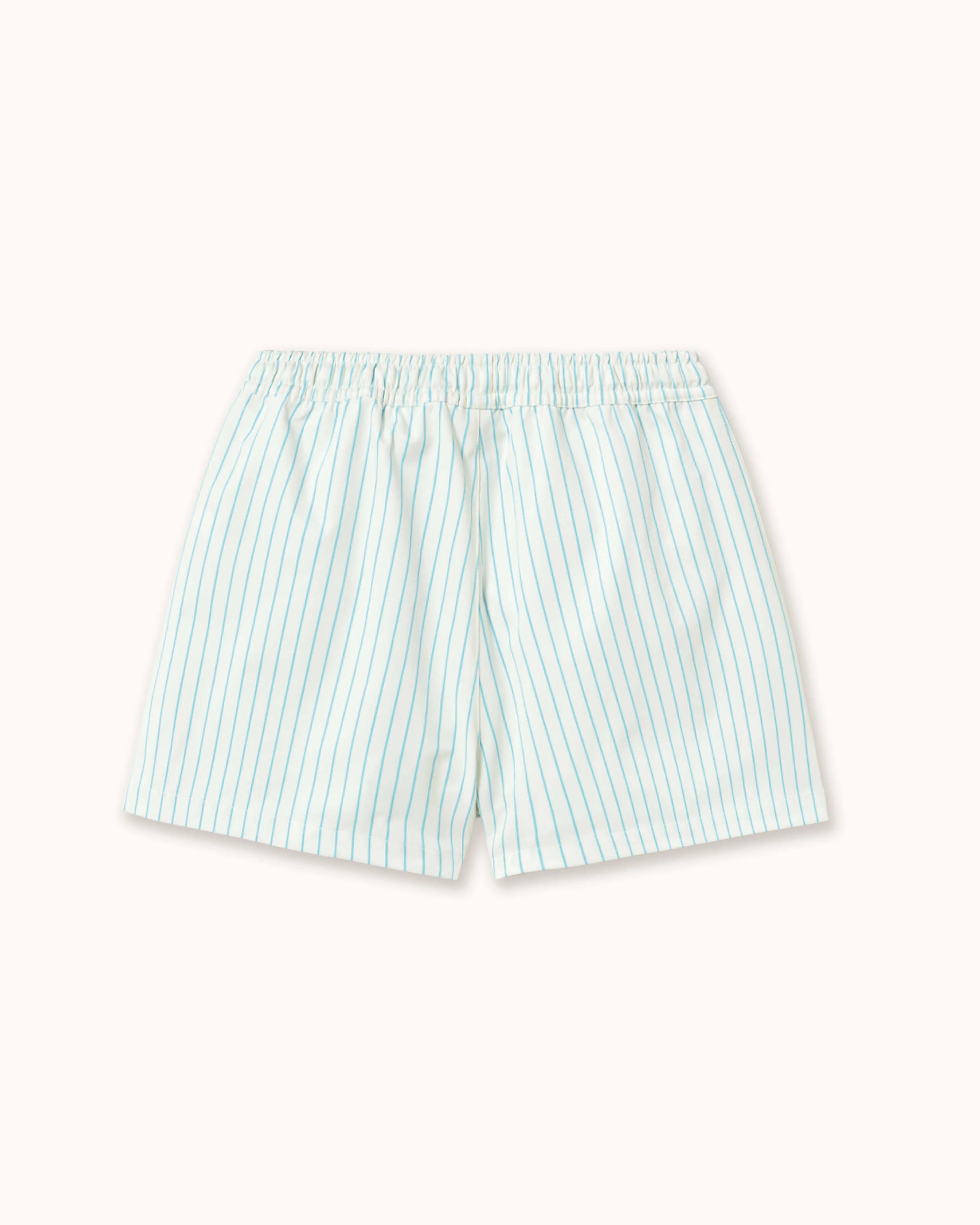 Swim Trunks in cyan striped