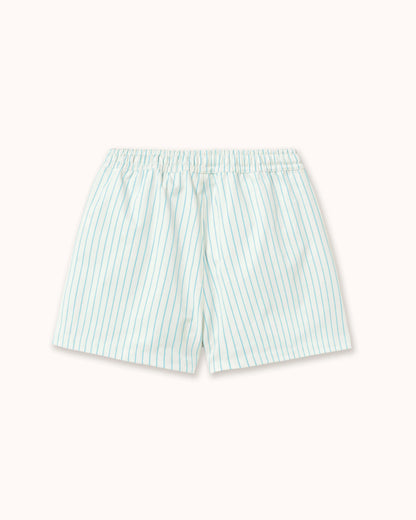 Swim Trunks in cyan striped