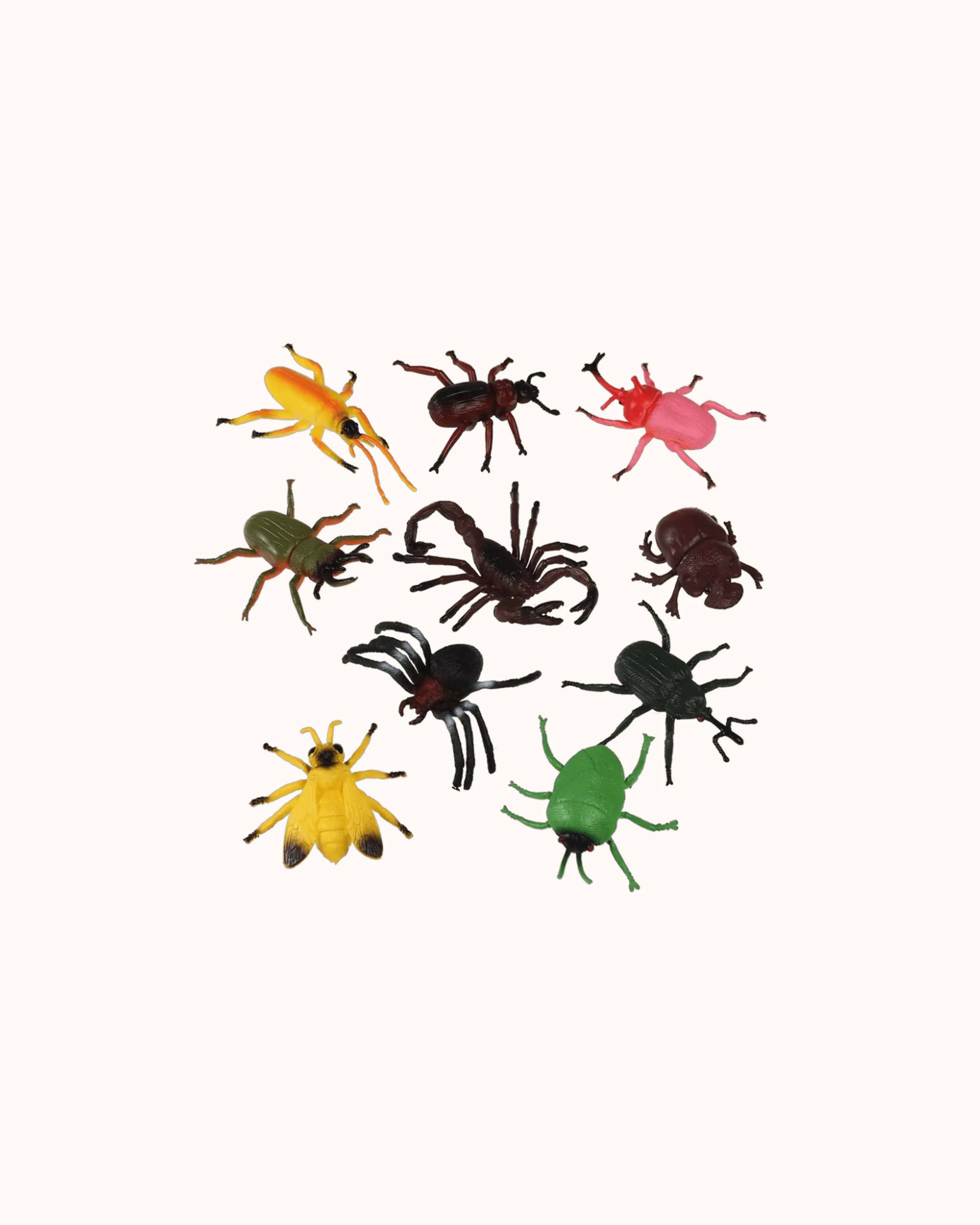 Mixed Creepy Crawlies