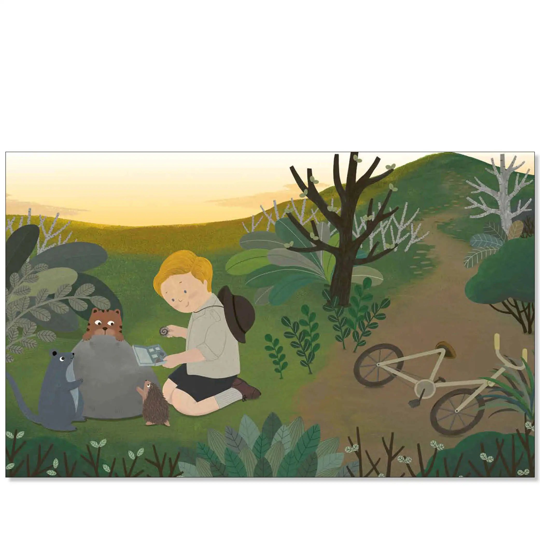 Little People, Big Dreams – David Attenborough