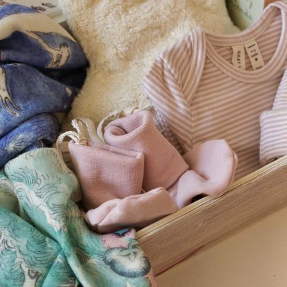 Geschenkbox Wild Swans
