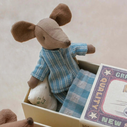 Großer Bruder Maus in Streichholzschachtel, braun