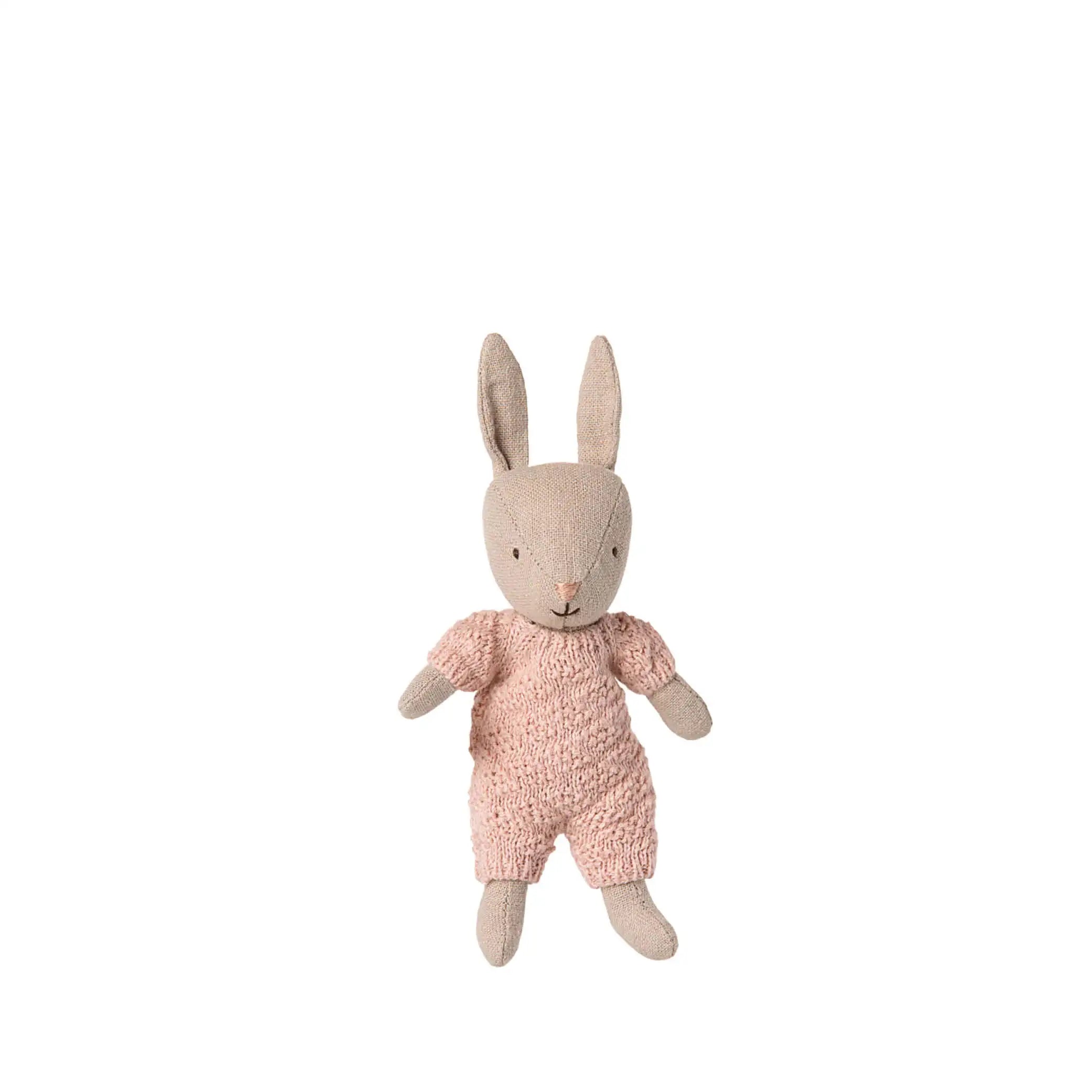 Baby Rabbit in sand