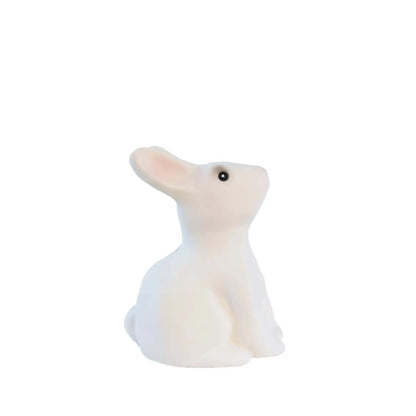 Bunny Savings Bank