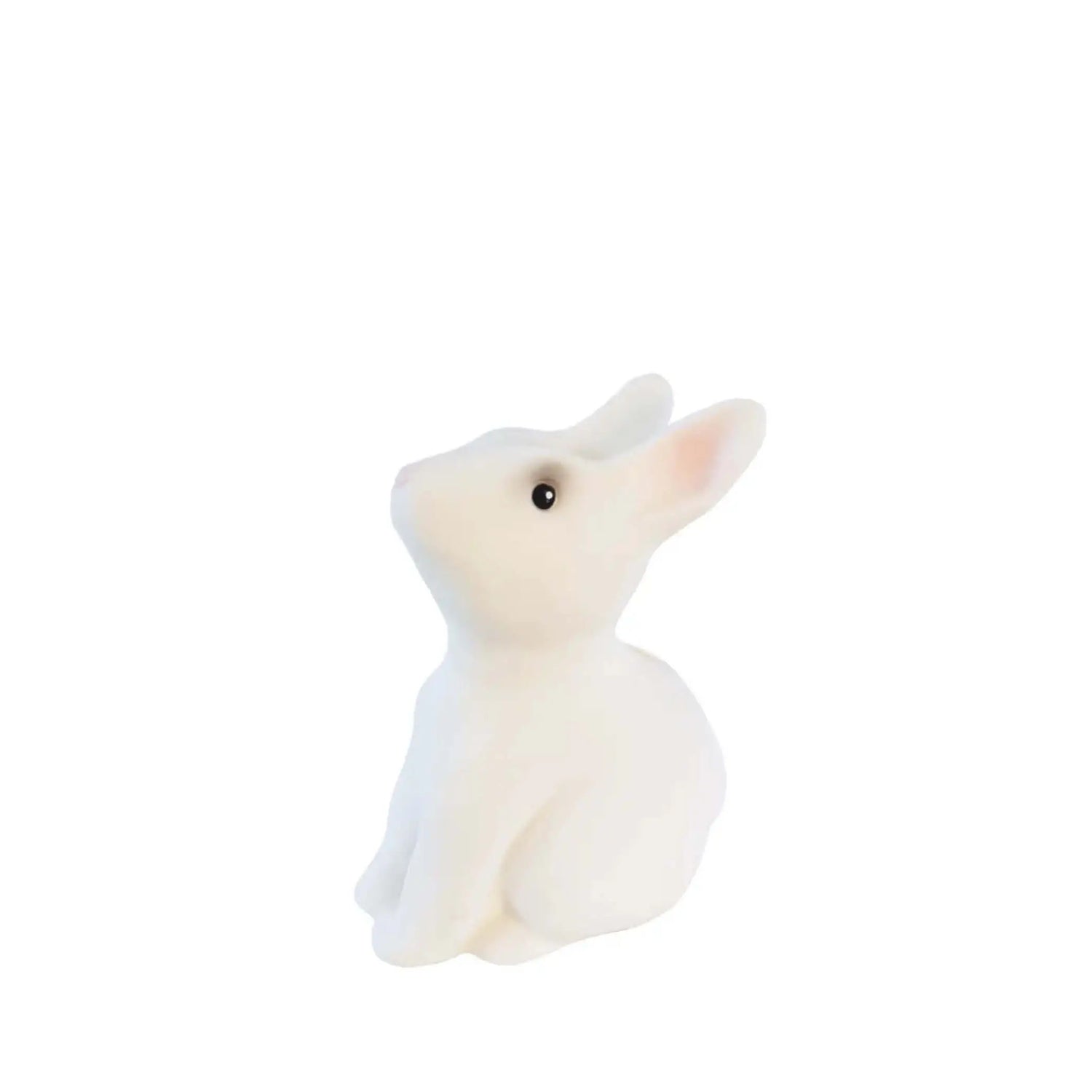 Bunny Savings Bank