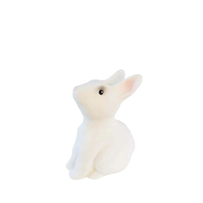 Bunny Savings Bank