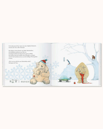 Herr Anton wartet auf Schnee