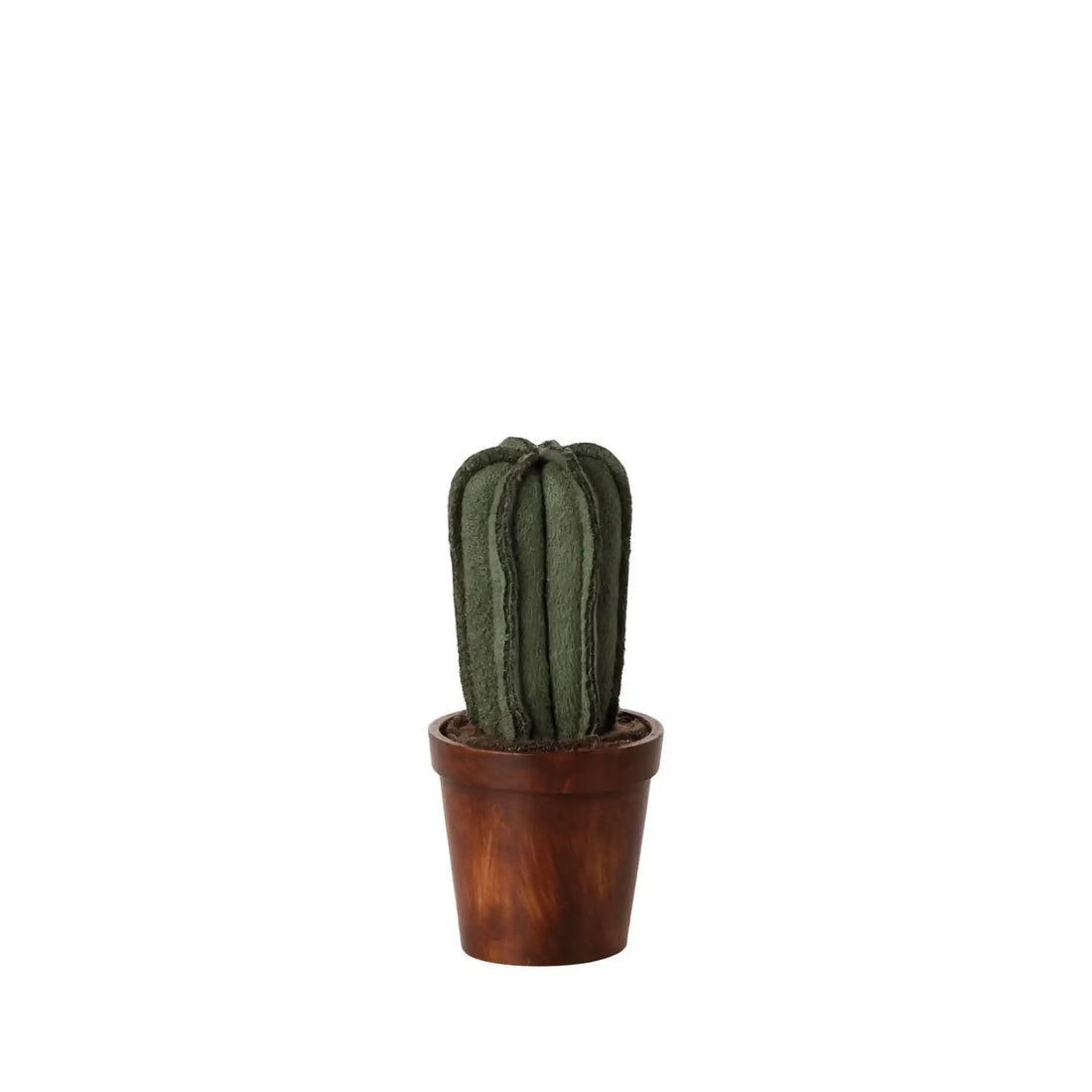 Mice Cactus
