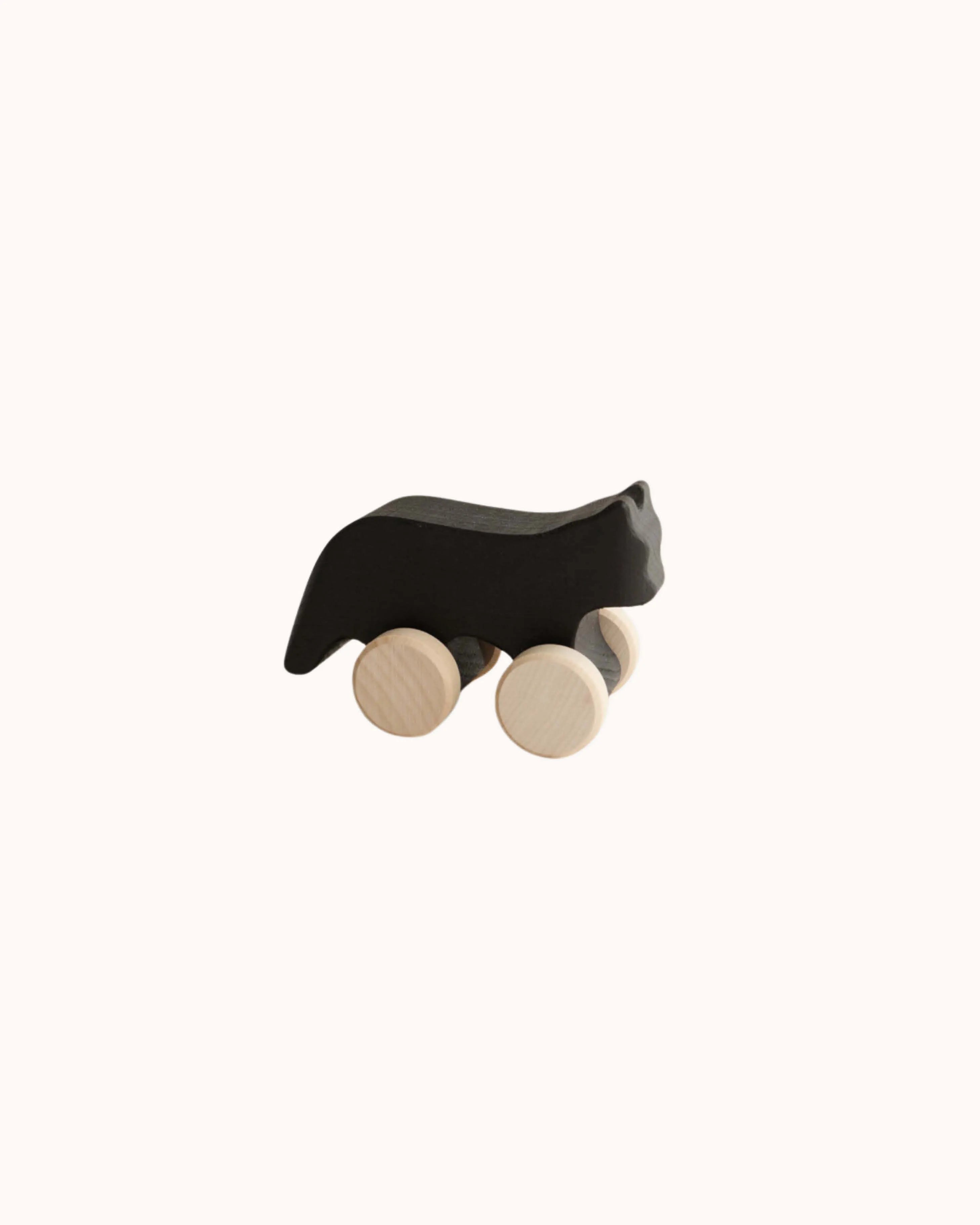 Schwarze Katze auf Rollen