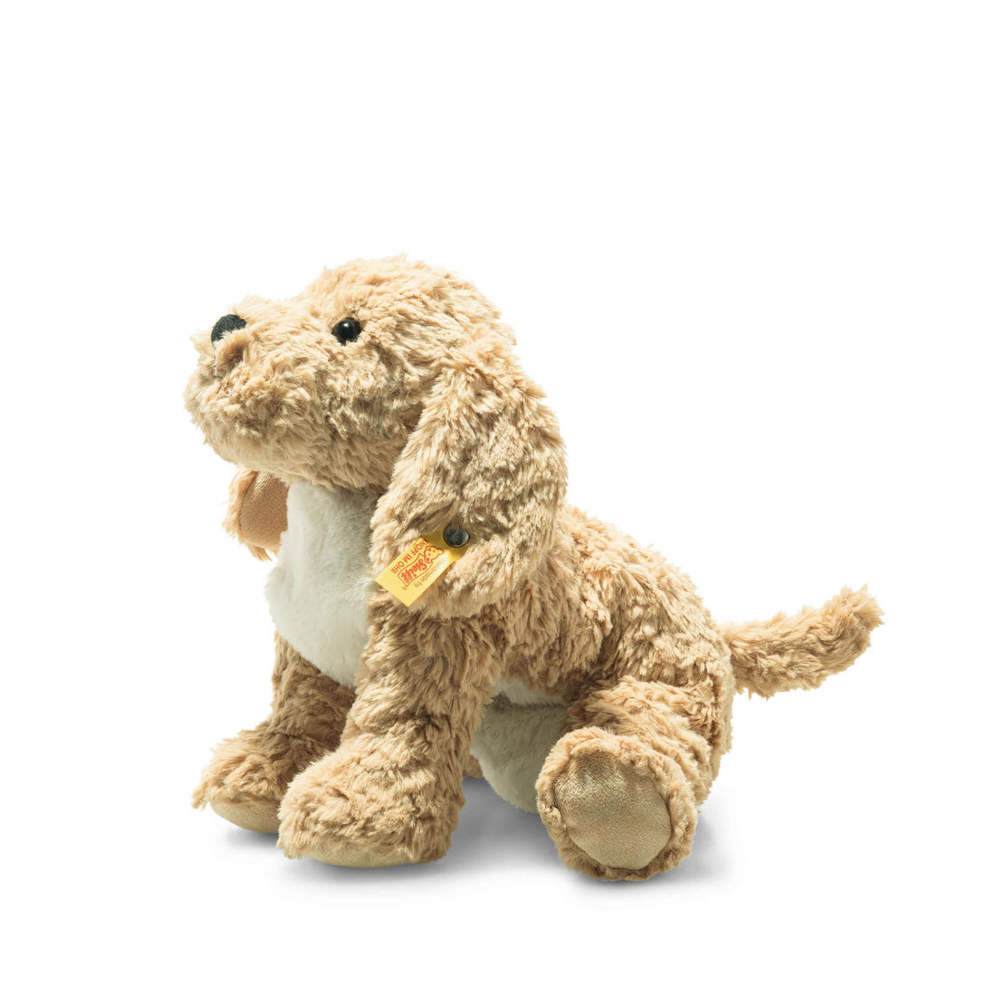 Kleiner Berno Goldendoodle