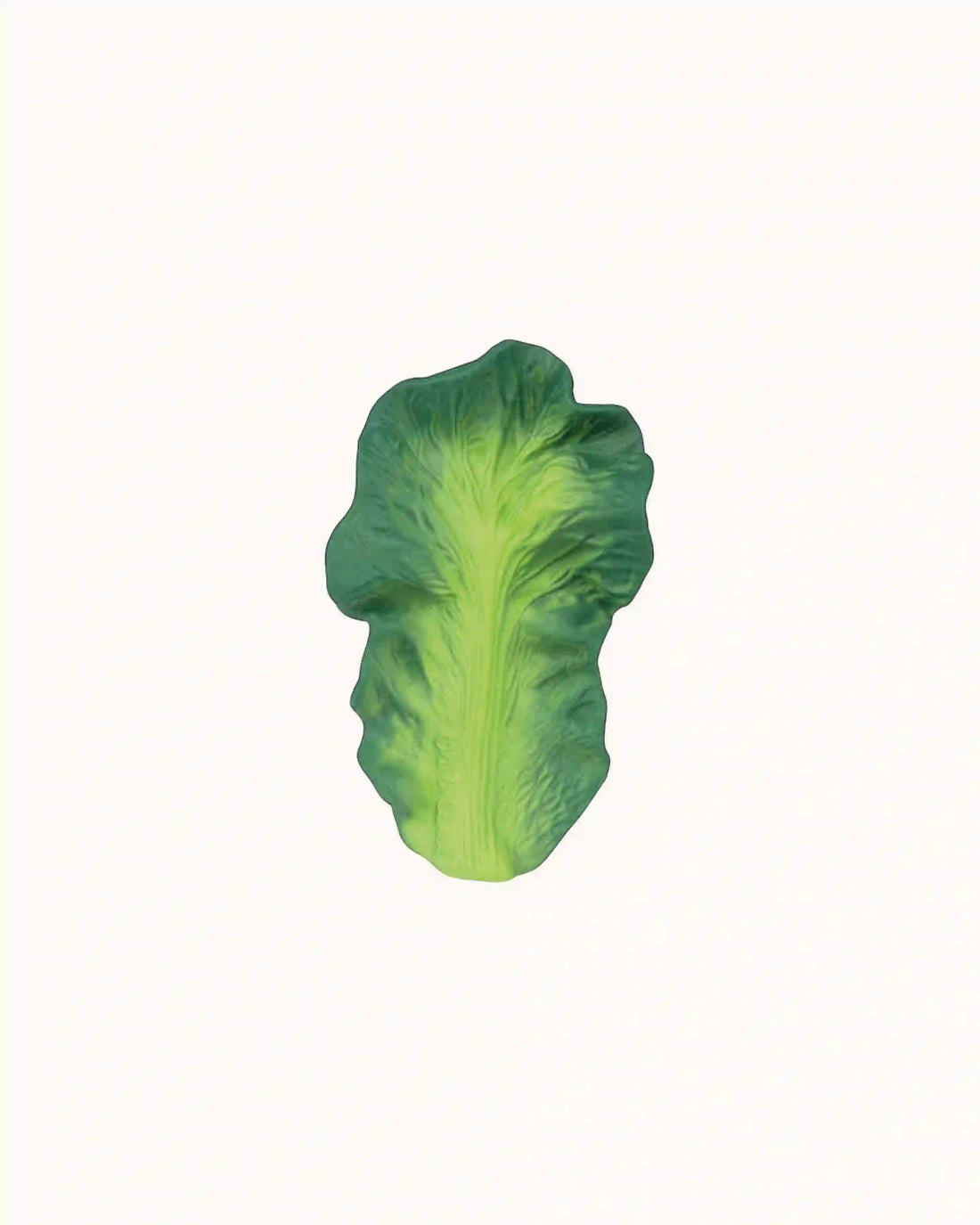 Teether Kendall der Kohl