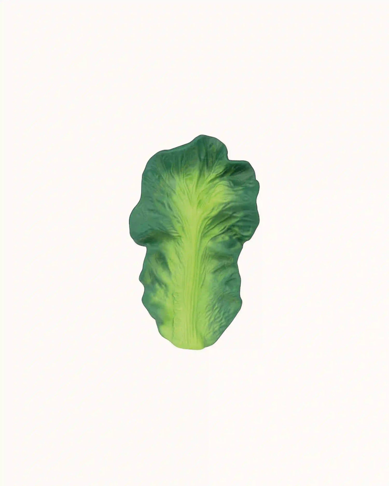 Teether Kendall der Kohl