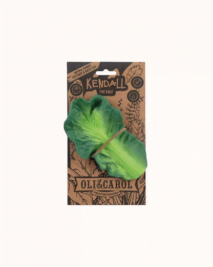 Teether Kendall der Kohl