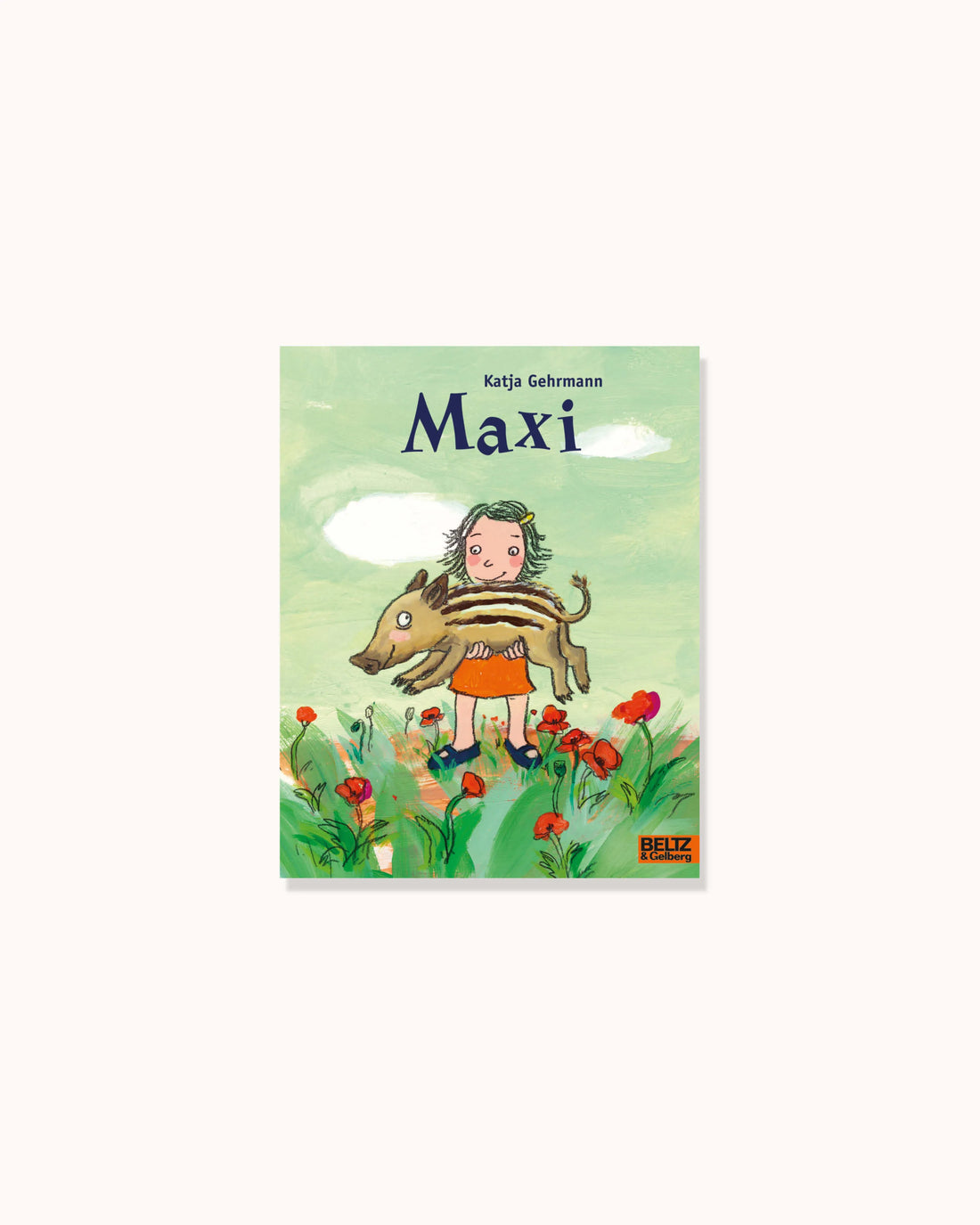 Maxi – Minimax