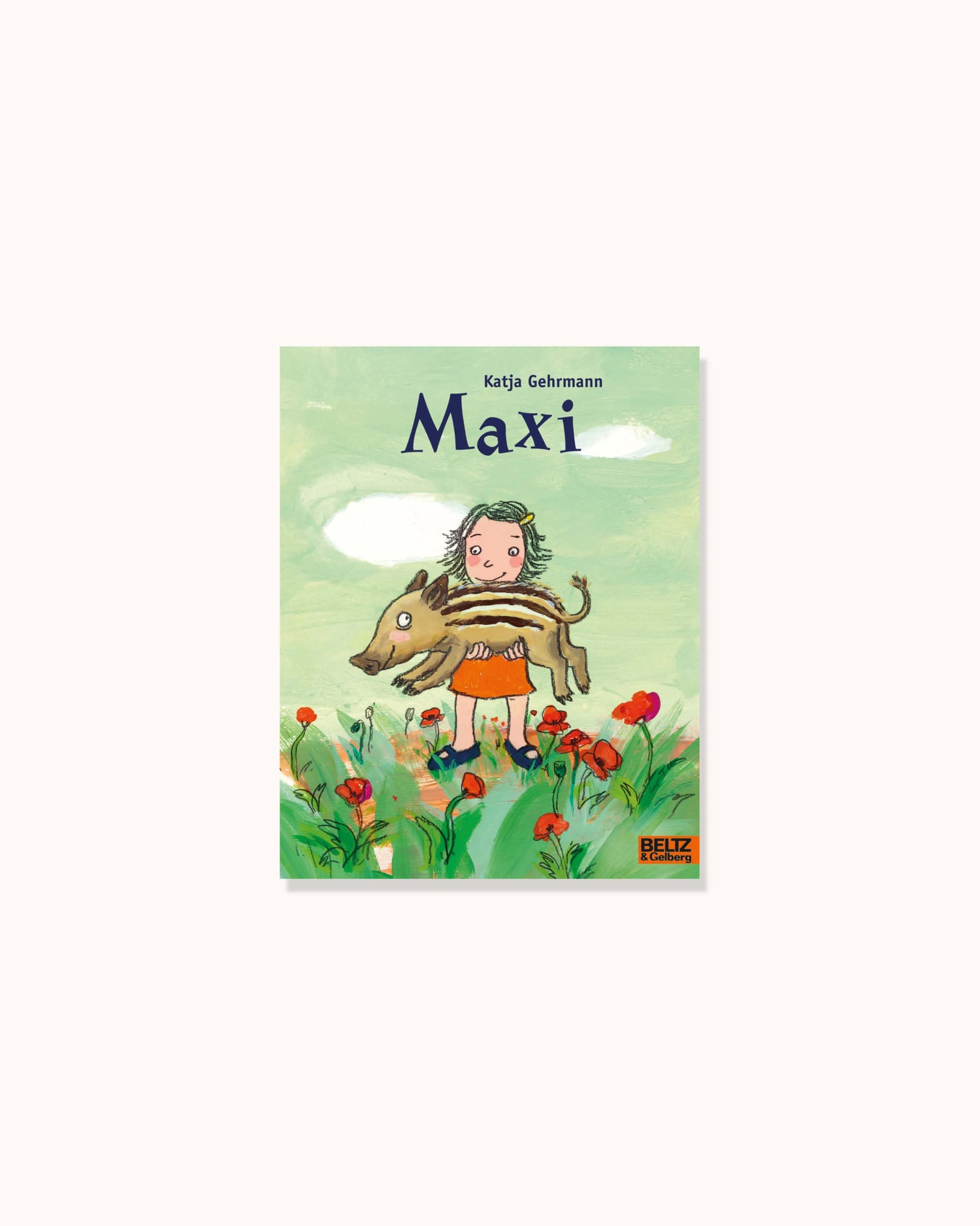 Maxi – Minimax
