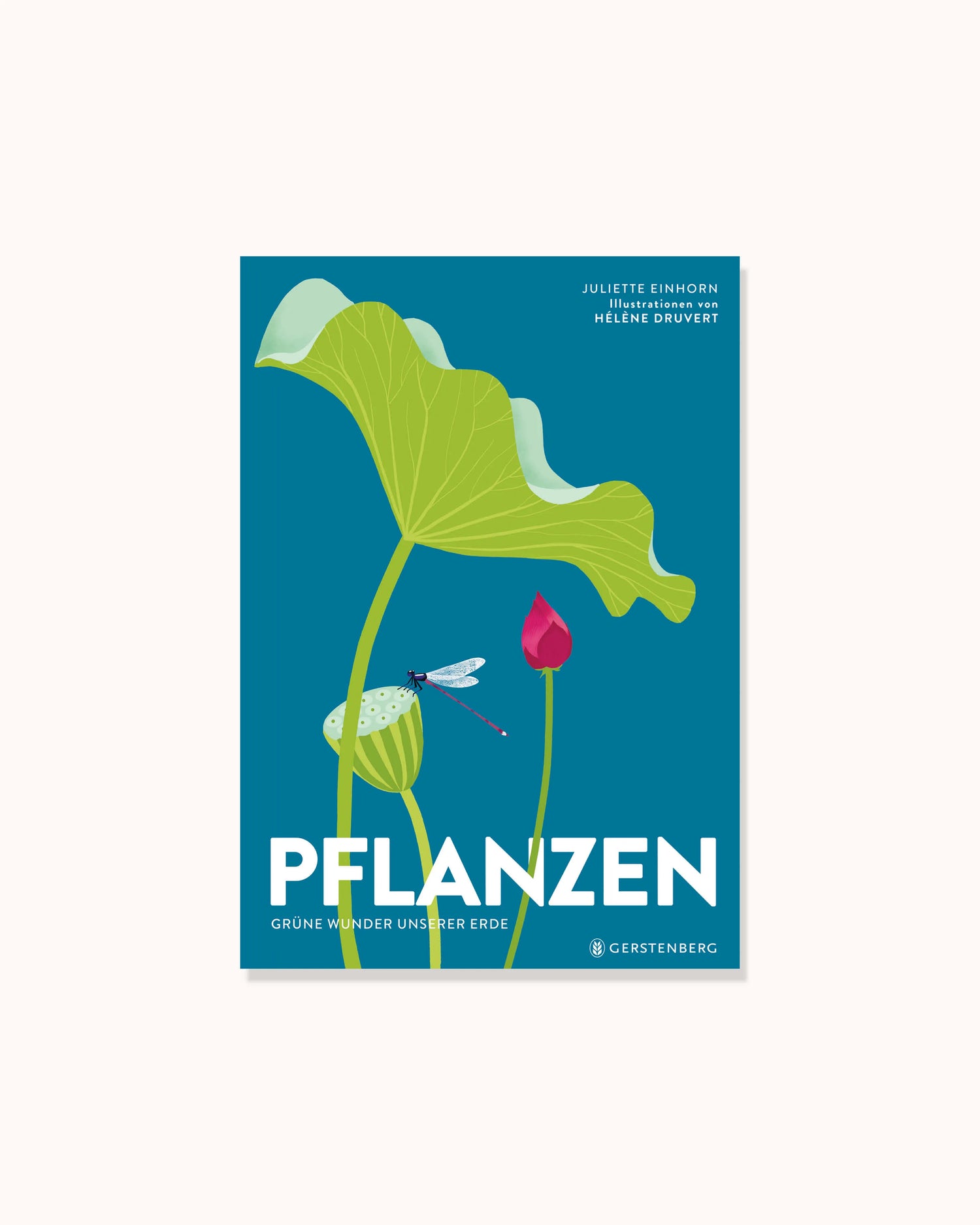 Pflanzen