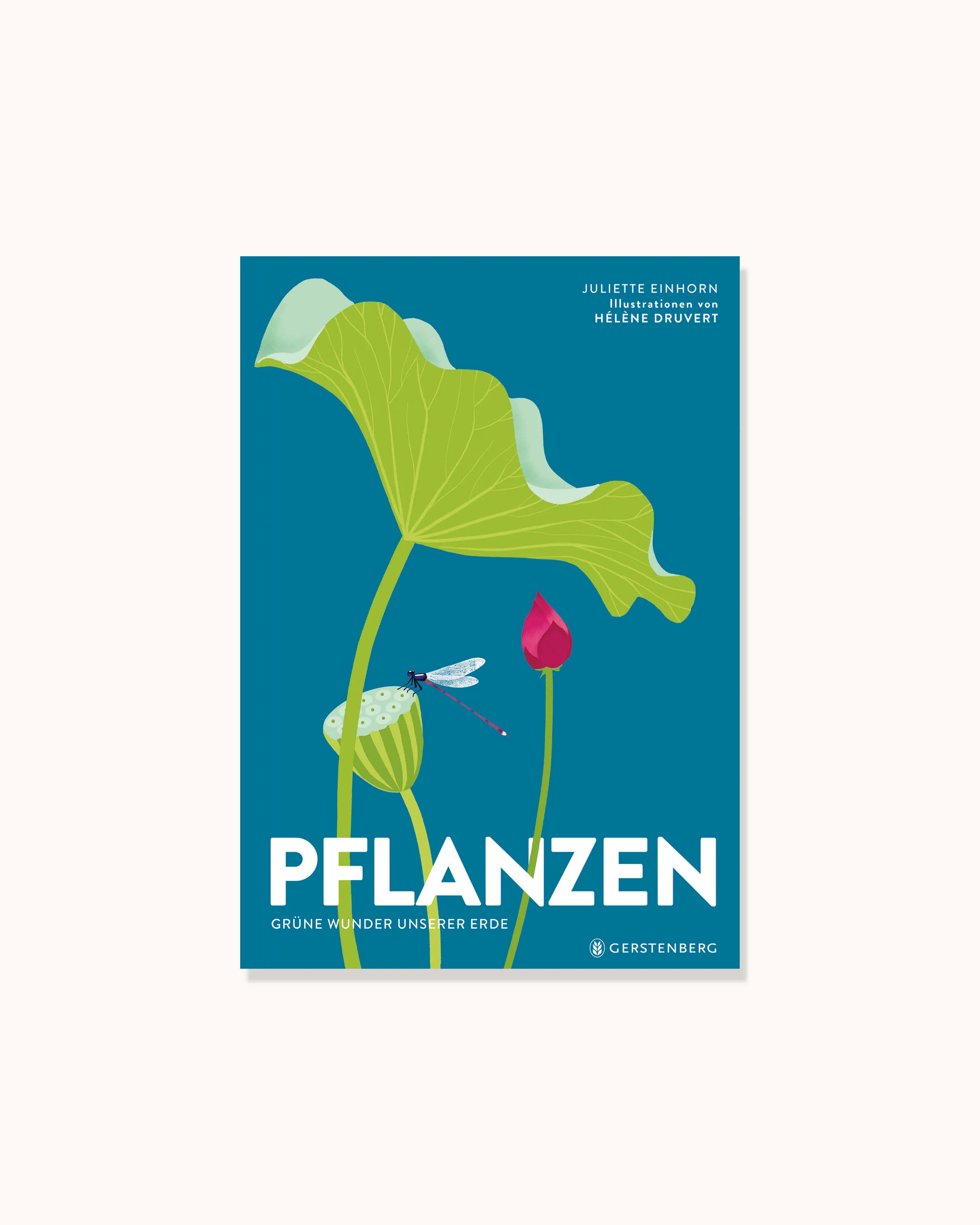 Pflanzen