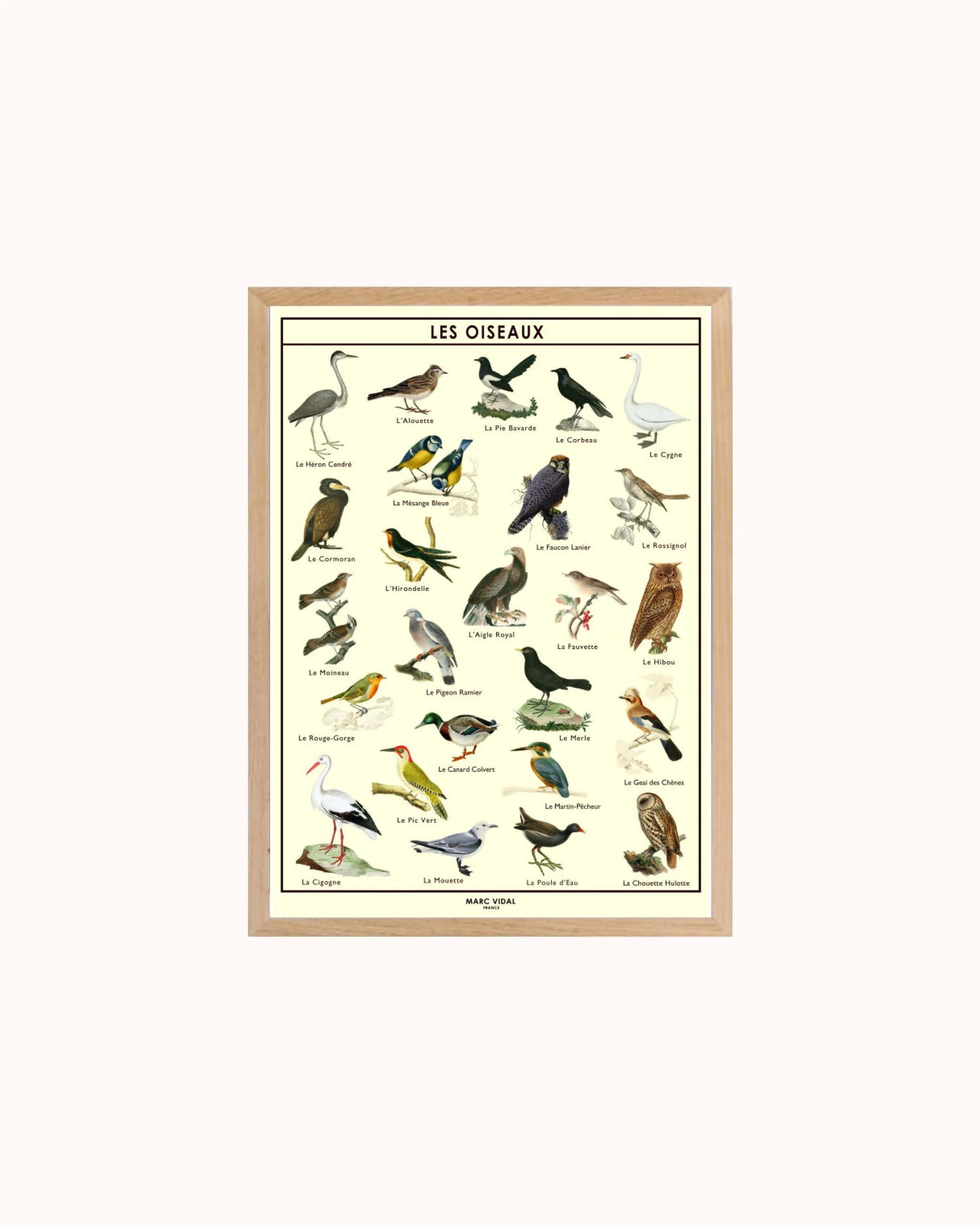 Poster Oiseaux