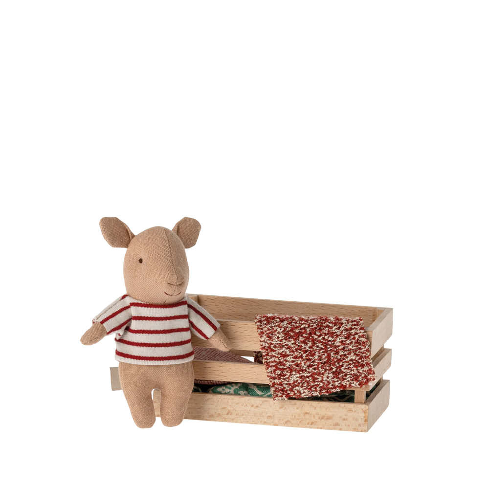 Kleines Schwein mit Box in rot