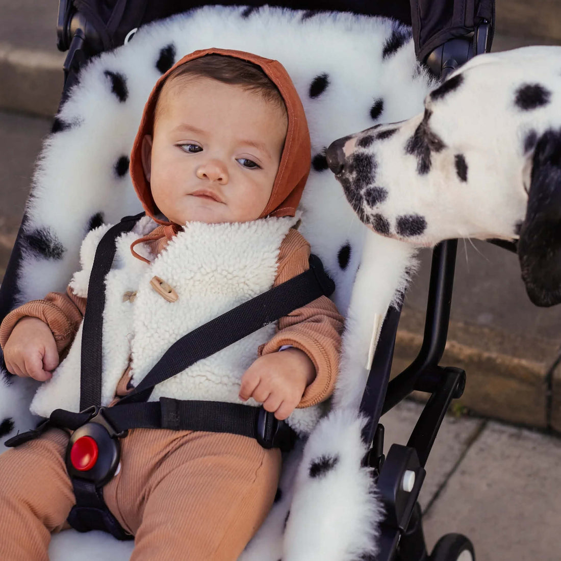 Snuggler Sheepskin in Dalmatian